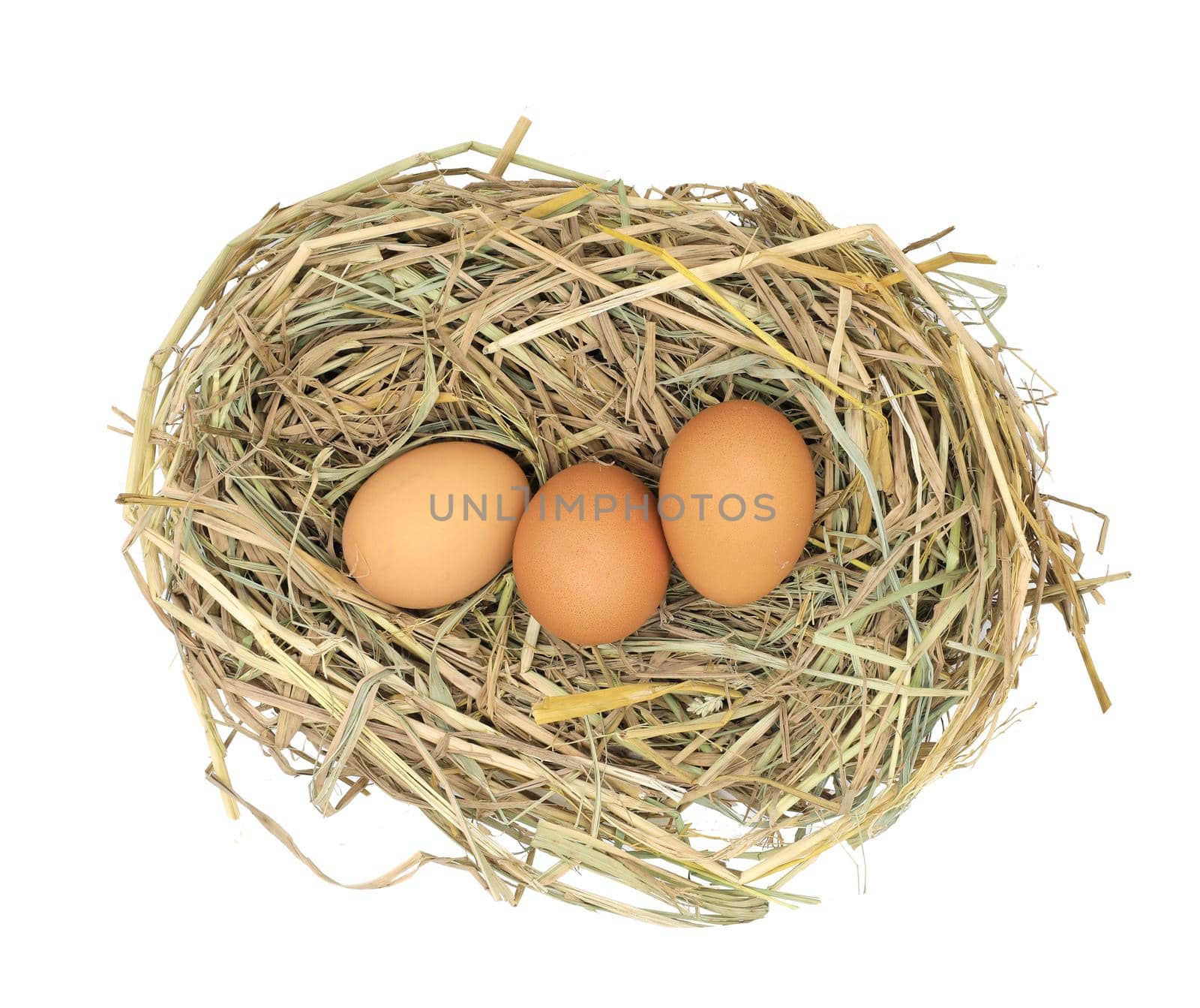 Chicken eggs in the straw nest isolated on white background by drpnncpp