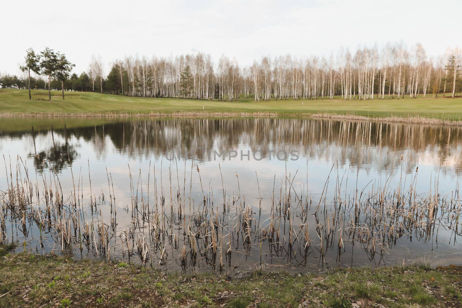 spring landscape, forest lake in spring surrounded by trees, calm water surface with reflection, bright sunlight and blue sky.