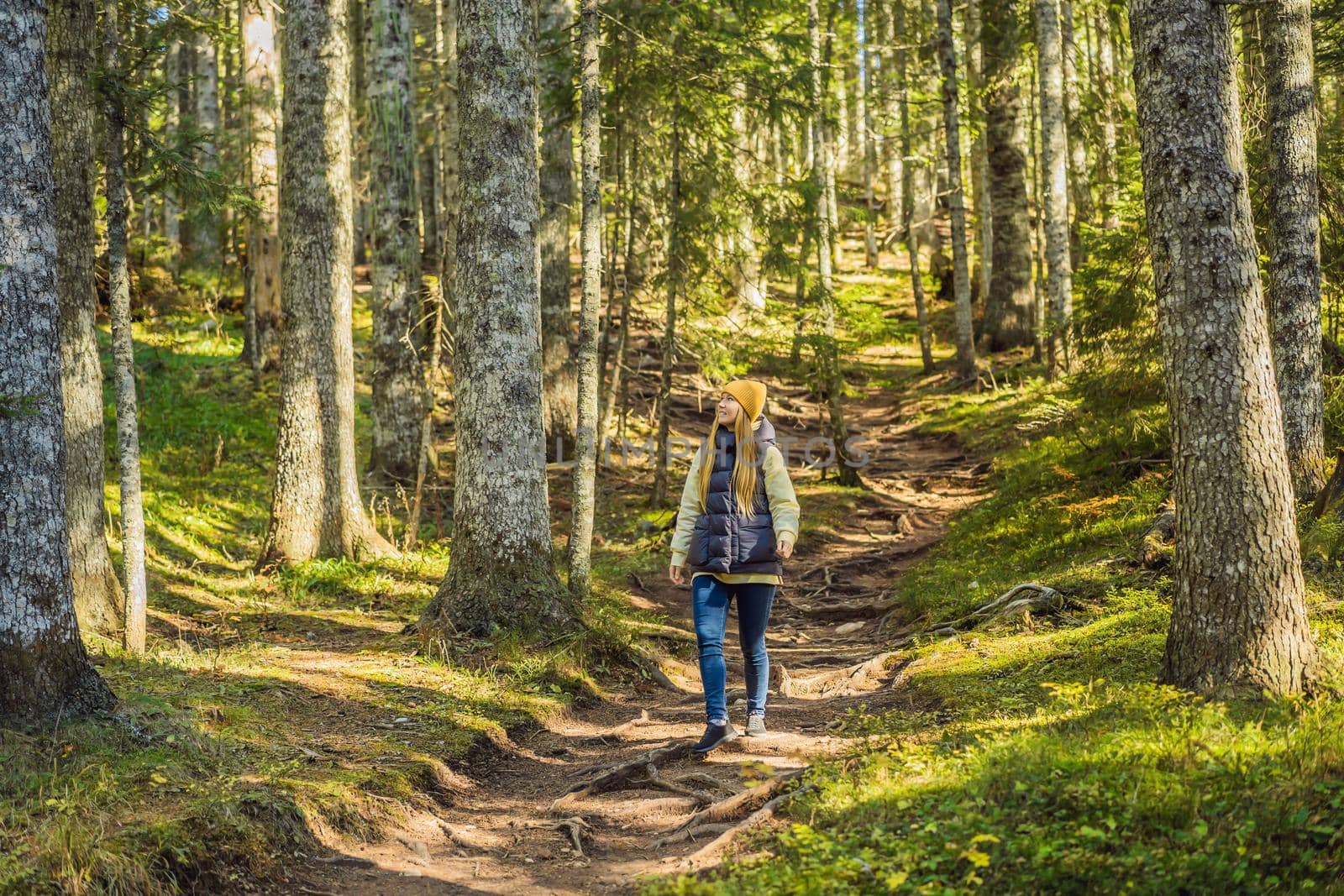 A woman in warm clothes enjoys a walk in a pine forest.