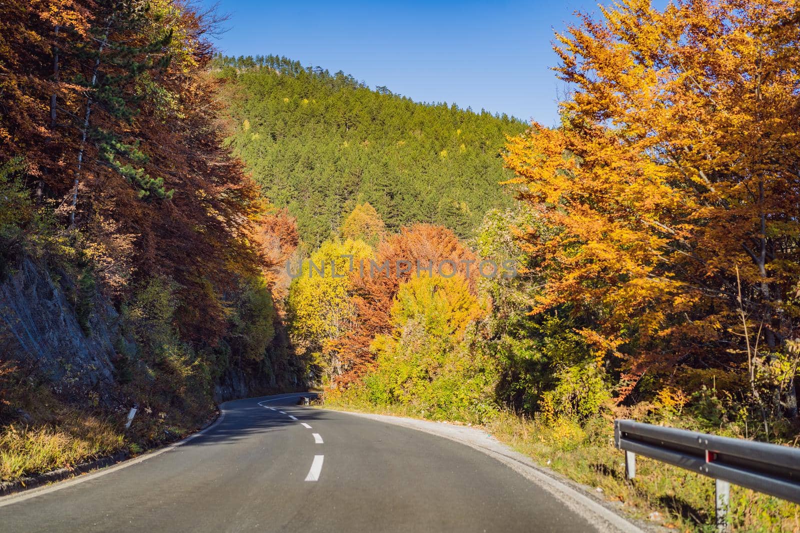 Beautiful autumn view of yellow trees, road and mountains, Montenegro.