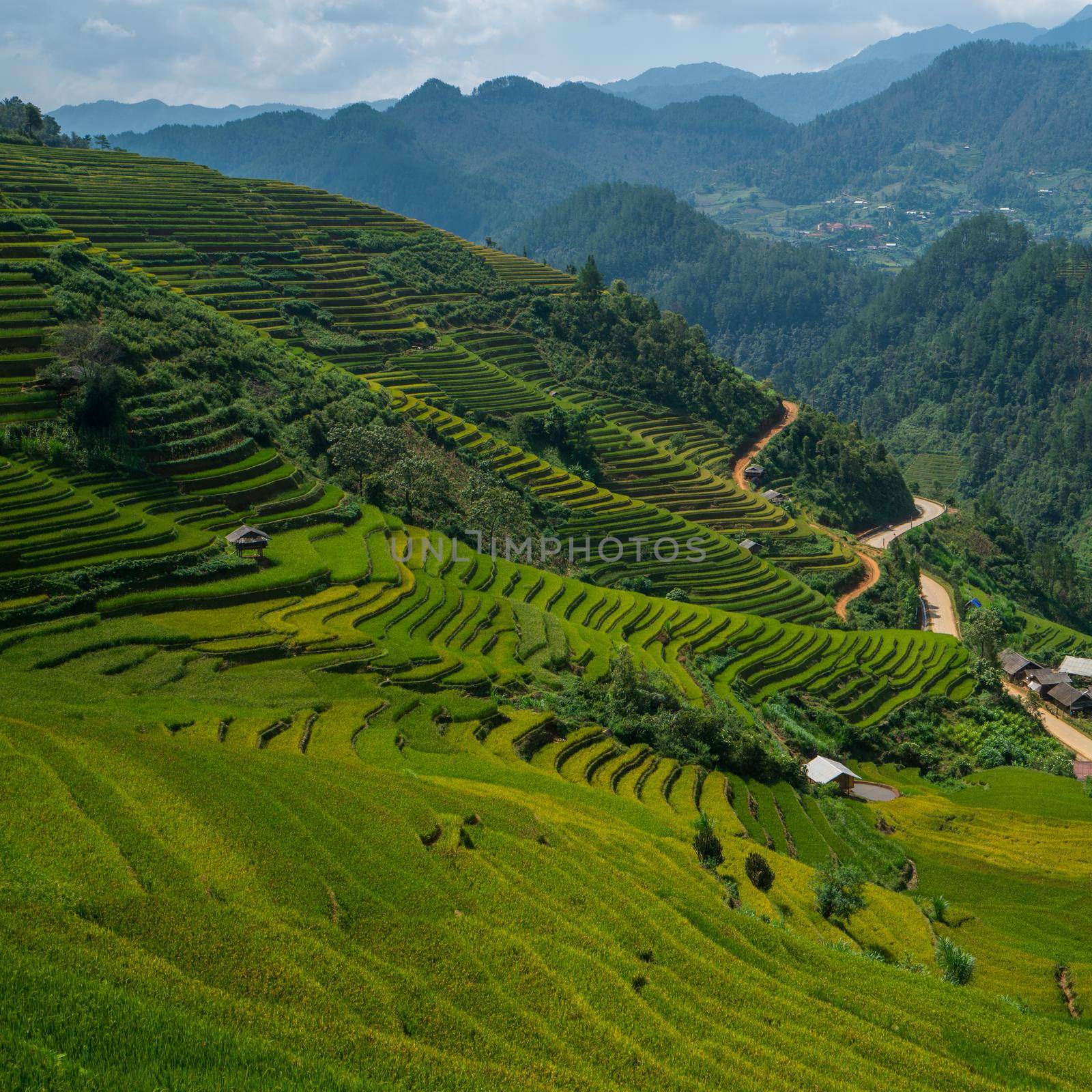 Terraced rice field in Mu Cang Chai, Vietnam by biancoblue