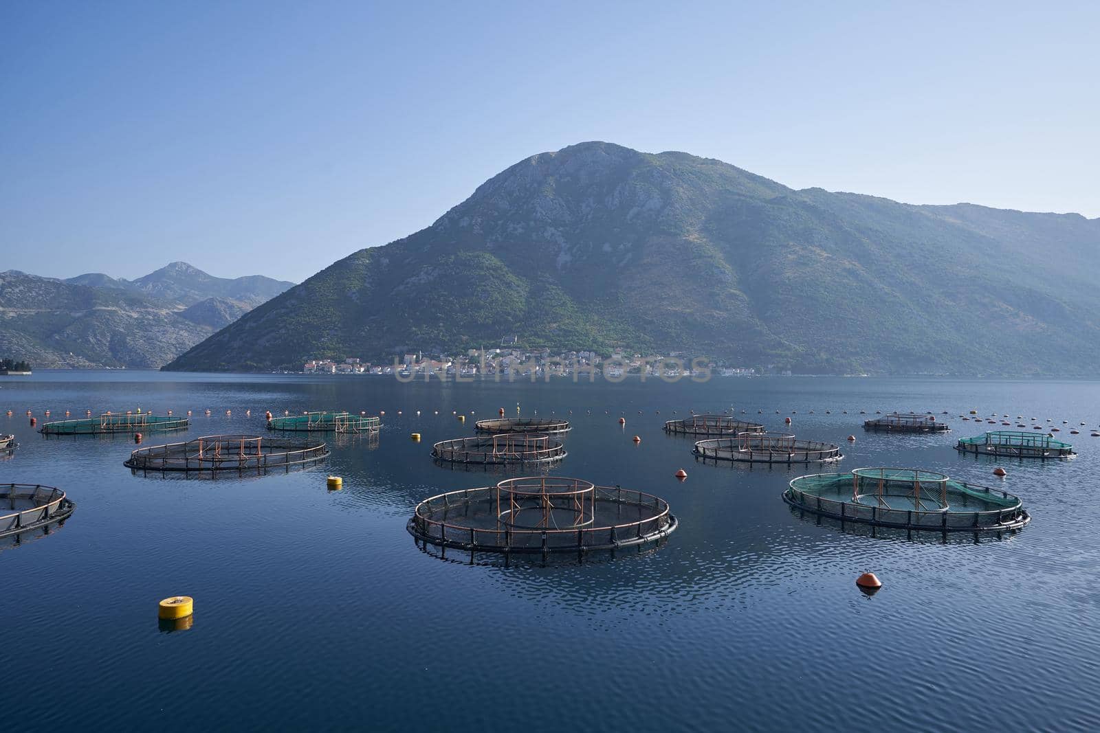 Seascape with fish farms against mountain in Montenegro.