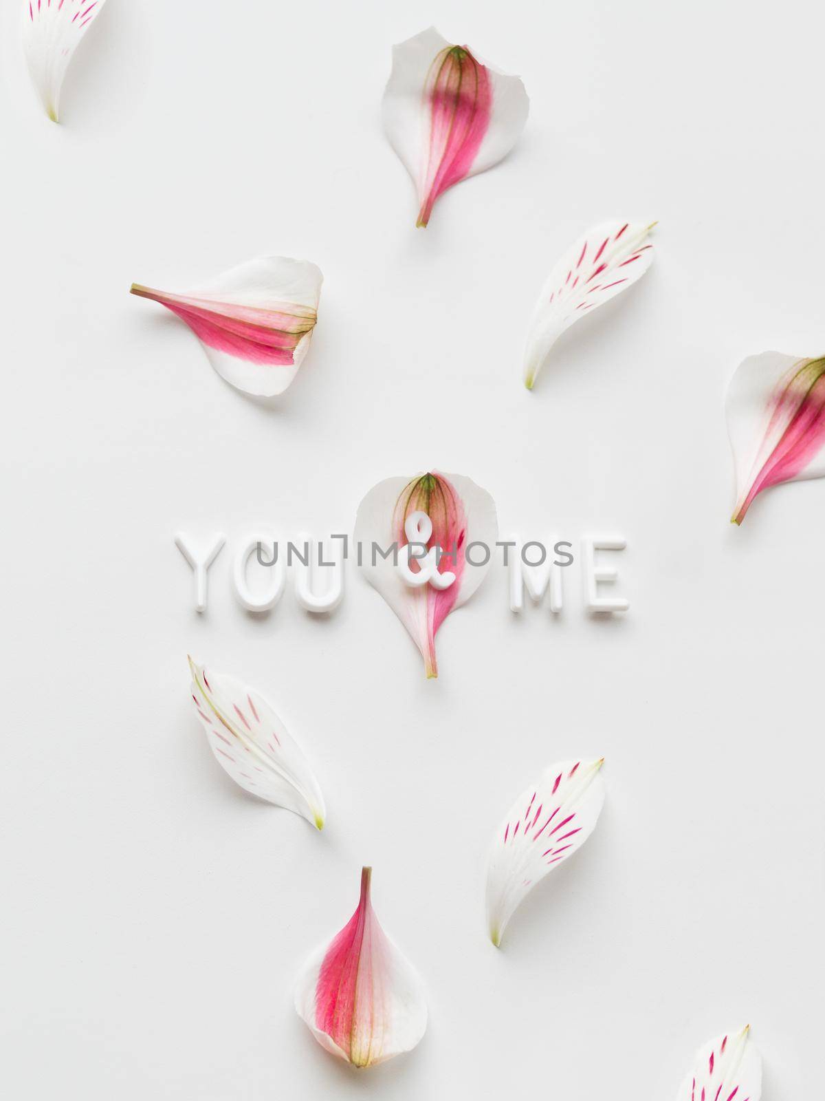 Top view on words YOU and ME on white background with pink petals. Vertical romantic backdrop. by aksenovko