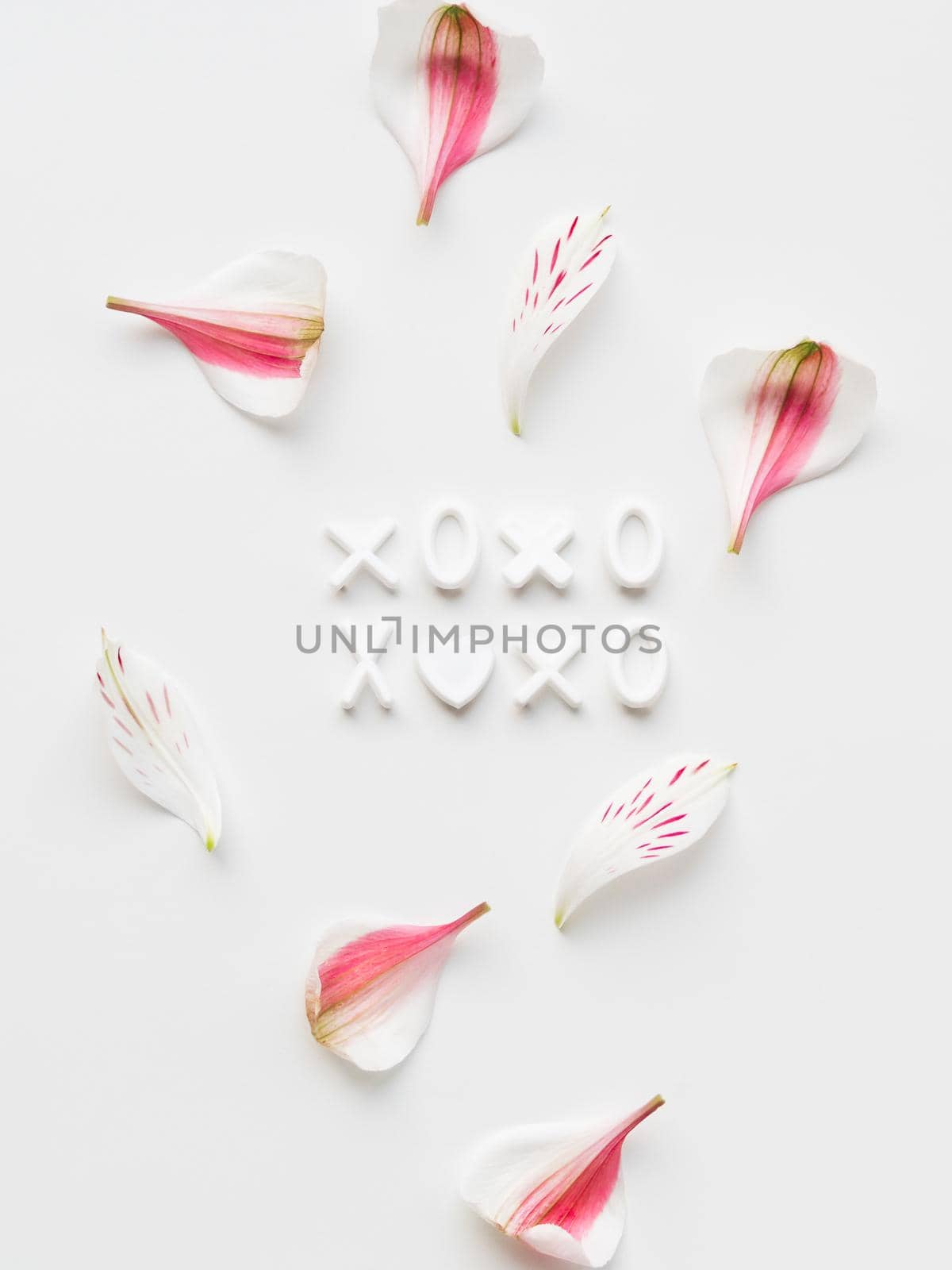 Top view on letters XOXO on white background with pink petals. Vertical romantic backdrop, concept of love and kisses.