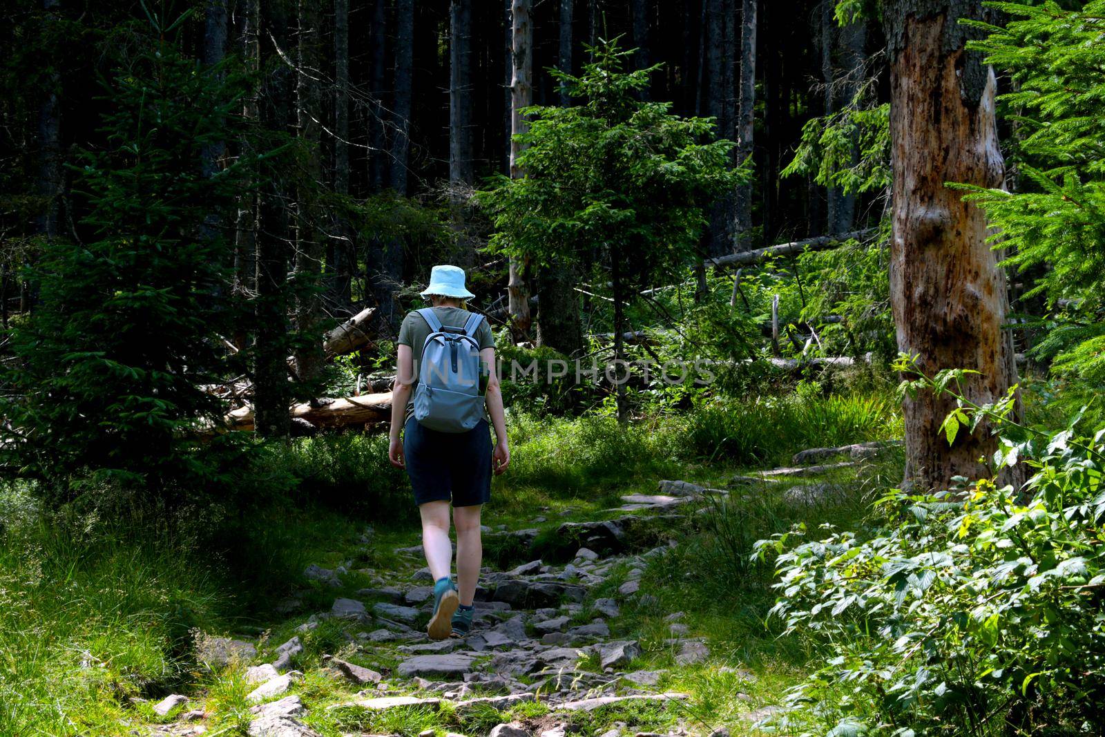 A girl climbs a mountain in the forest. Active lifestyle