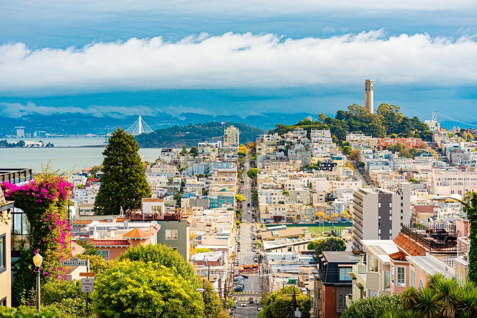 San Francisco city view with Coit tower by Yolshin