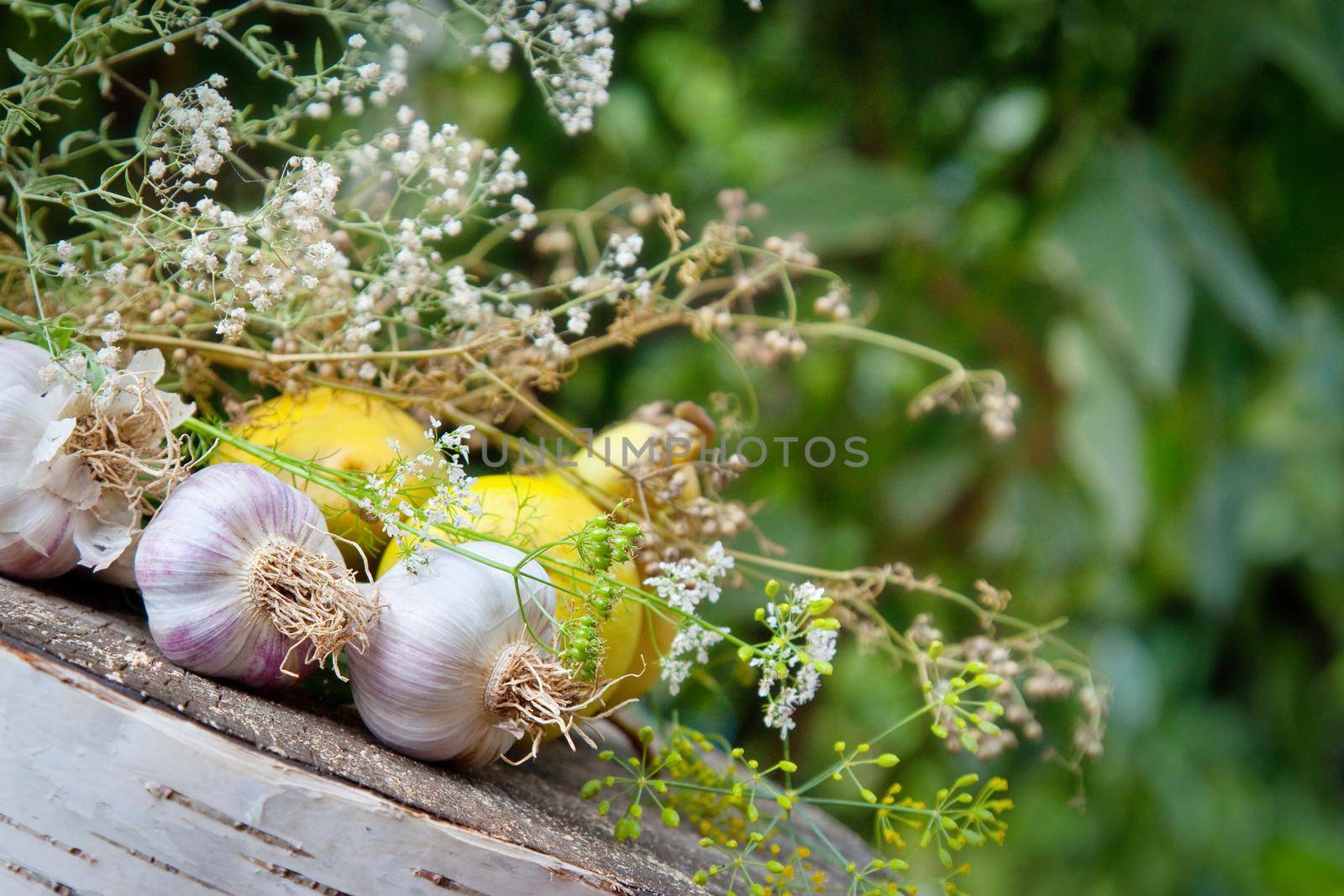 Garlic Bulbs and spice herbs on natural wood background by kisika