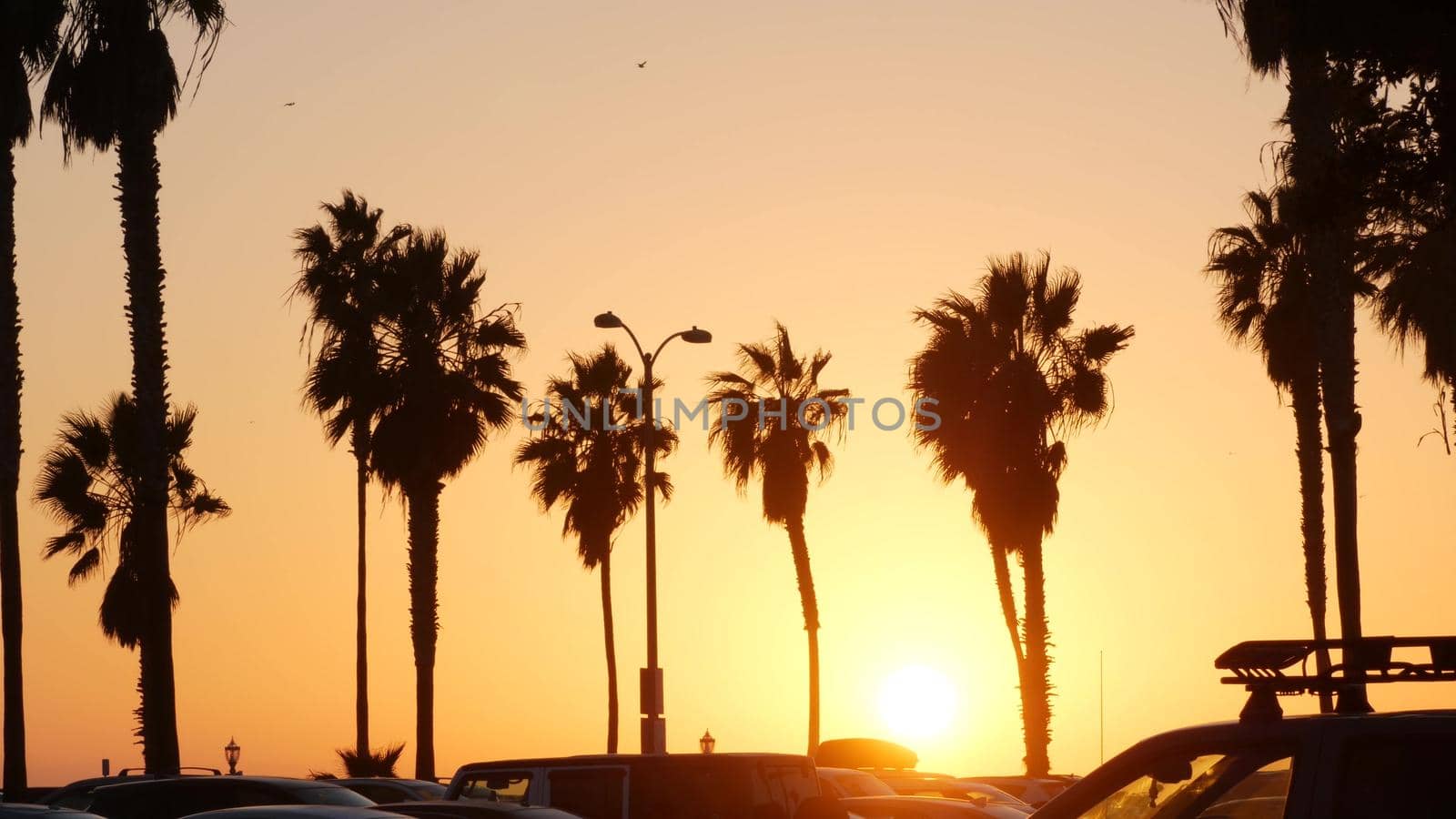 Orange sky, silhouettes of palm trees on beach at sunset, California coast, USA. by DogoraSun