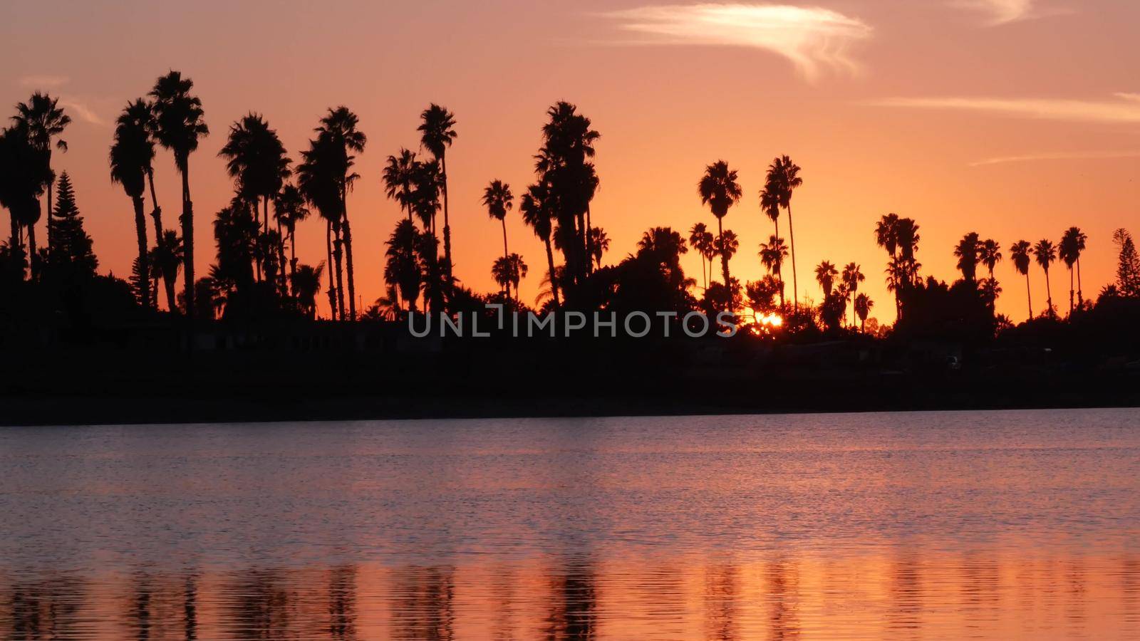 Many palm trees silhouettes reflection, sunset ocean beach, California coast USA by DogoraSun