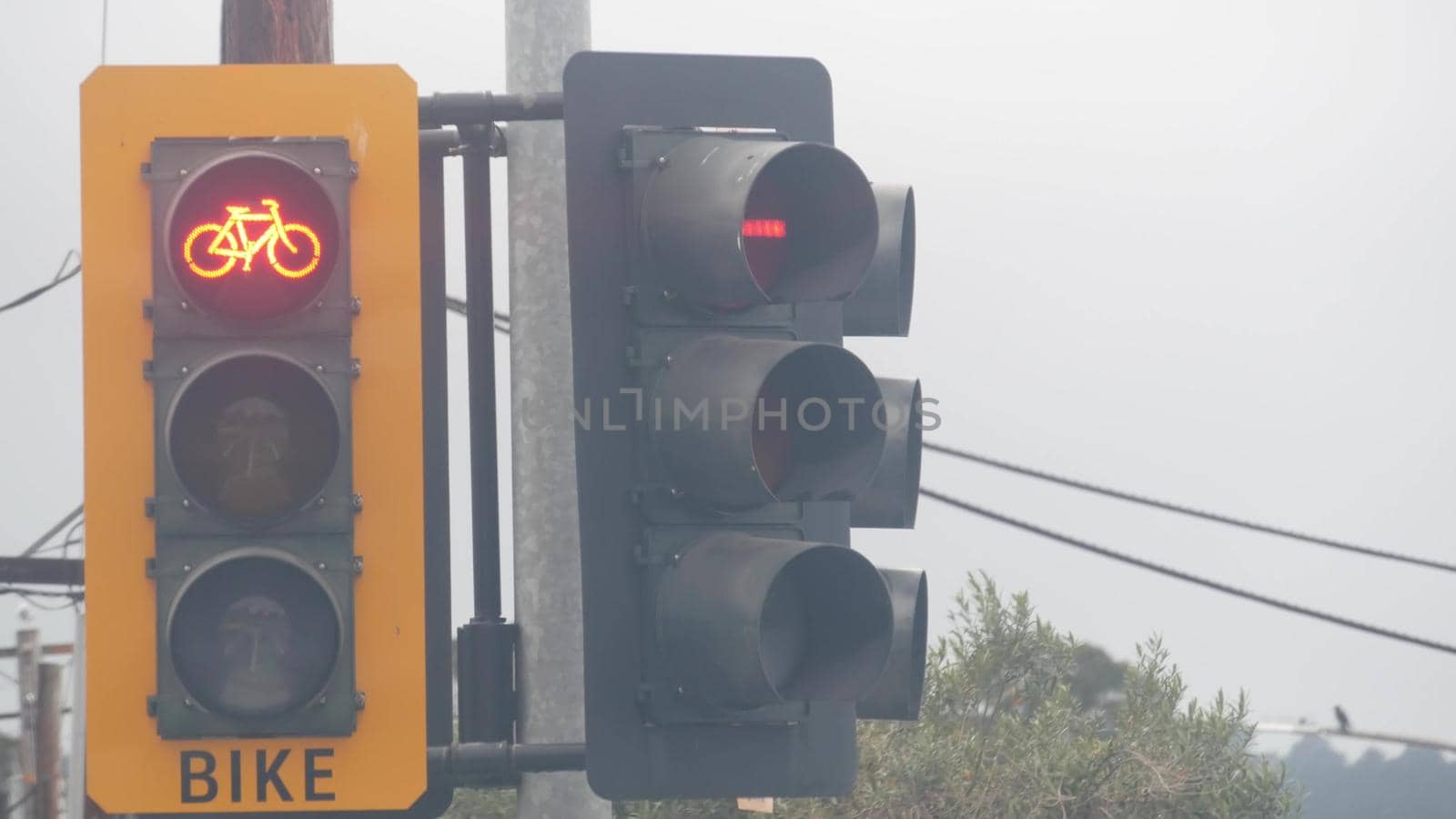 Crossroad traffic light signal for bicyclist, California USA. Bike lane crossing by DogoraSun