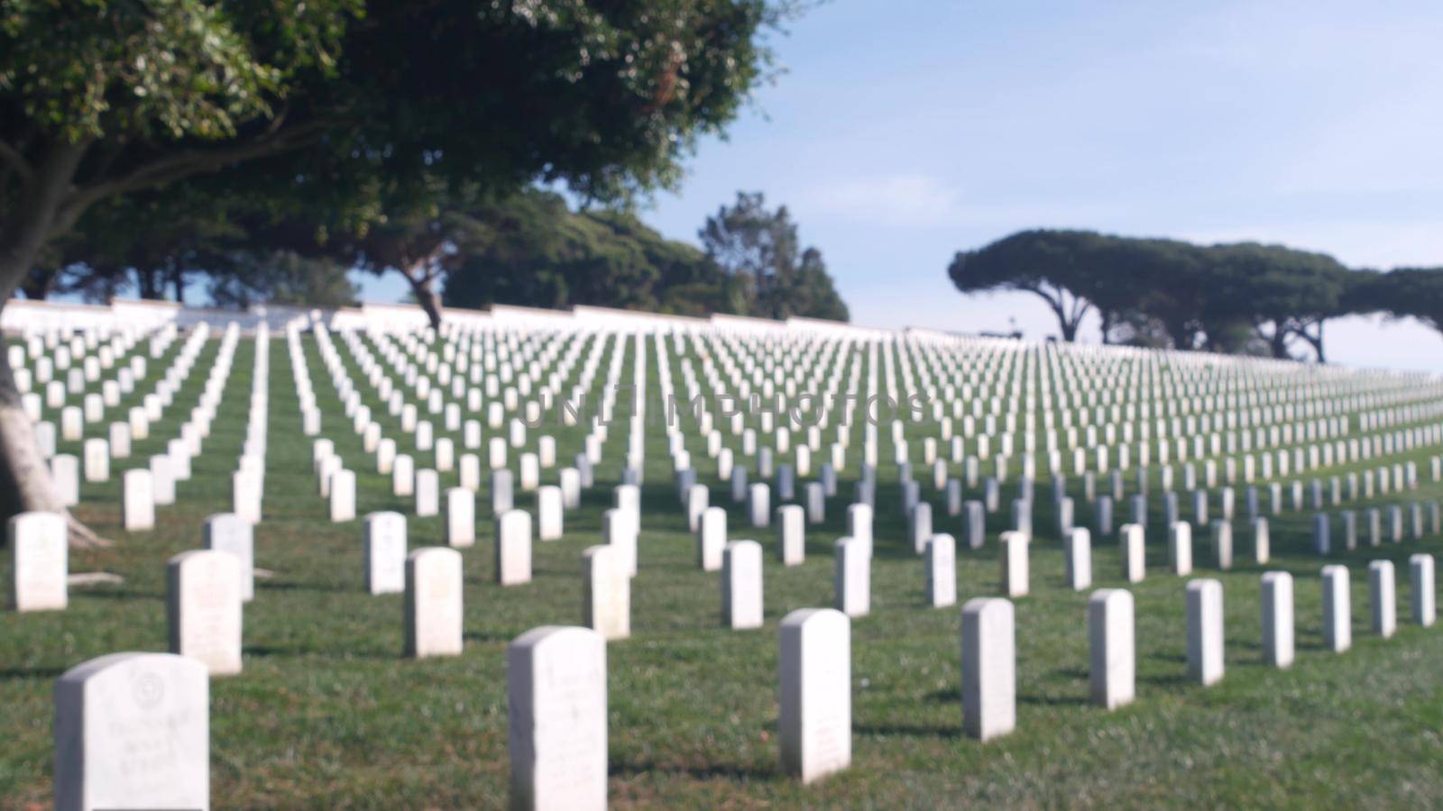 Defocused tombstones, american military memorial cemetery, graveyard in USA. by DogoraSun