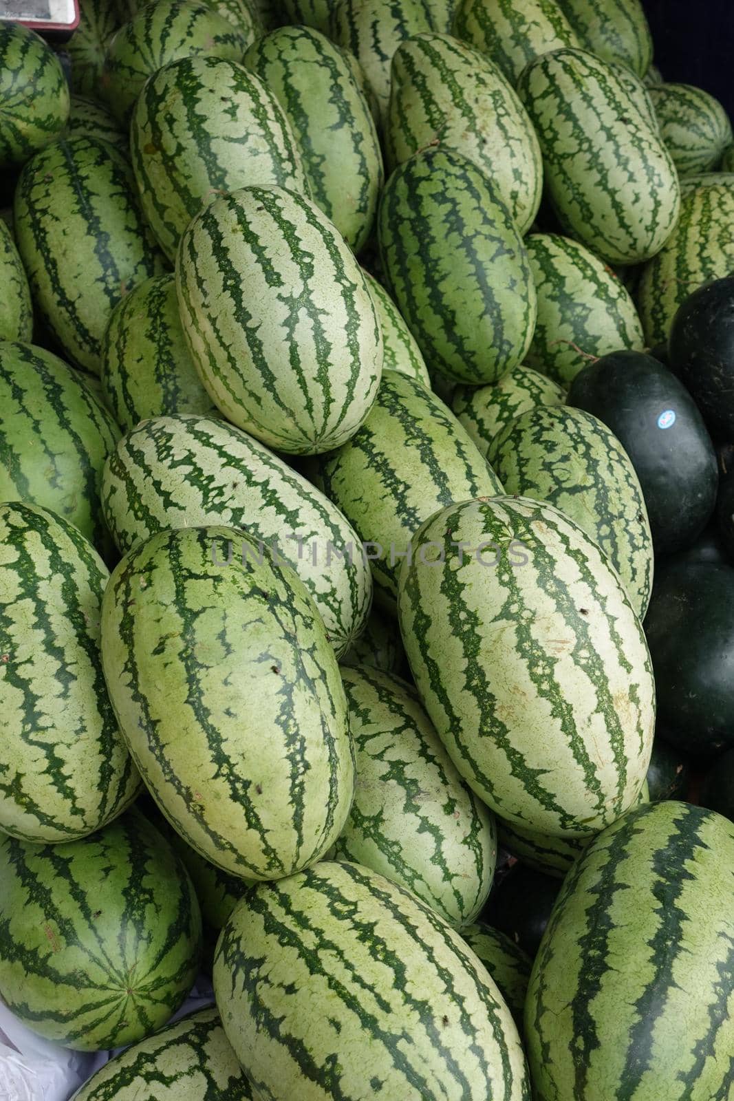 many water melons display for sale at local market ,