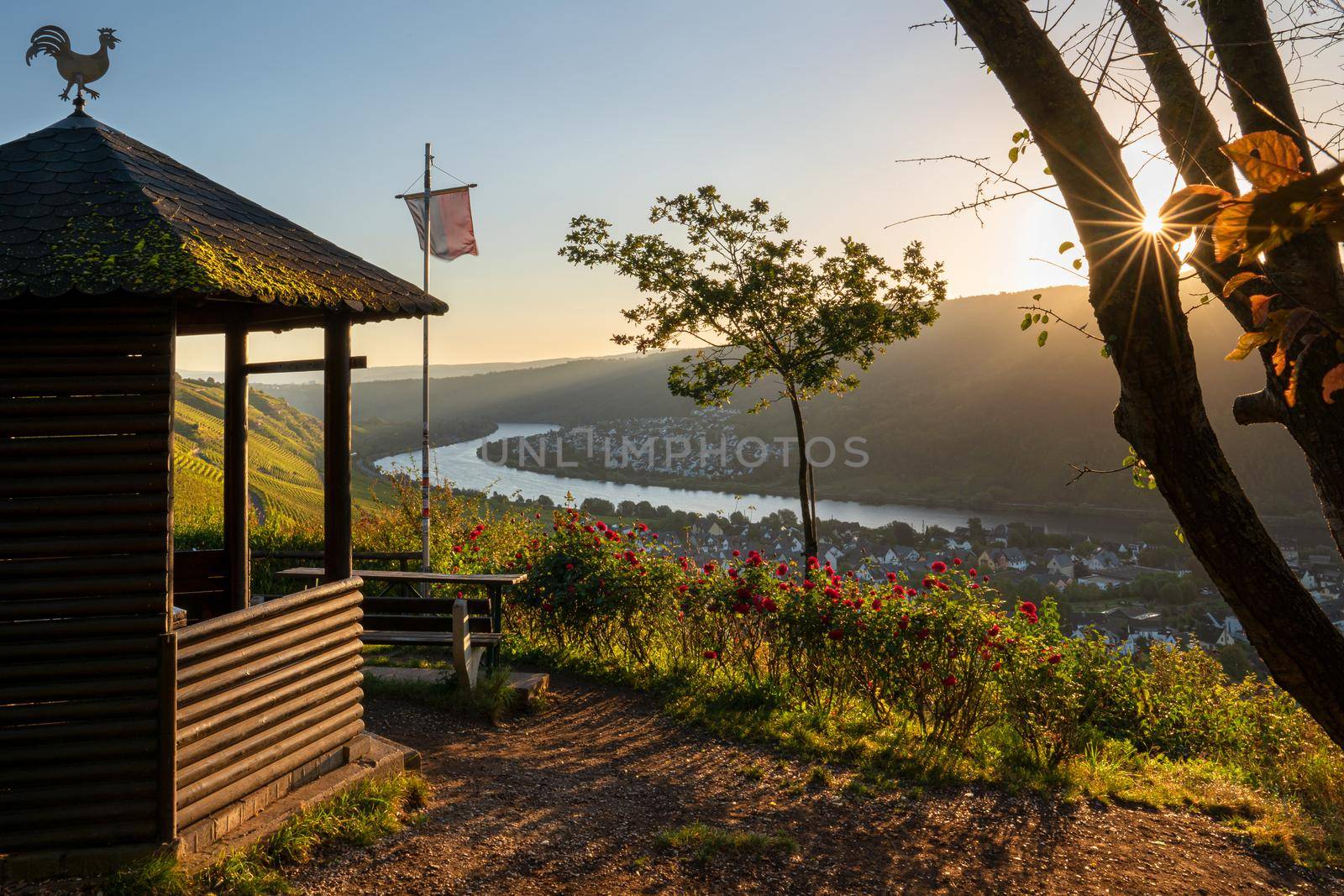 Panoramic view from a viewpoint over Winningen against sunrise, Moselle, Germany