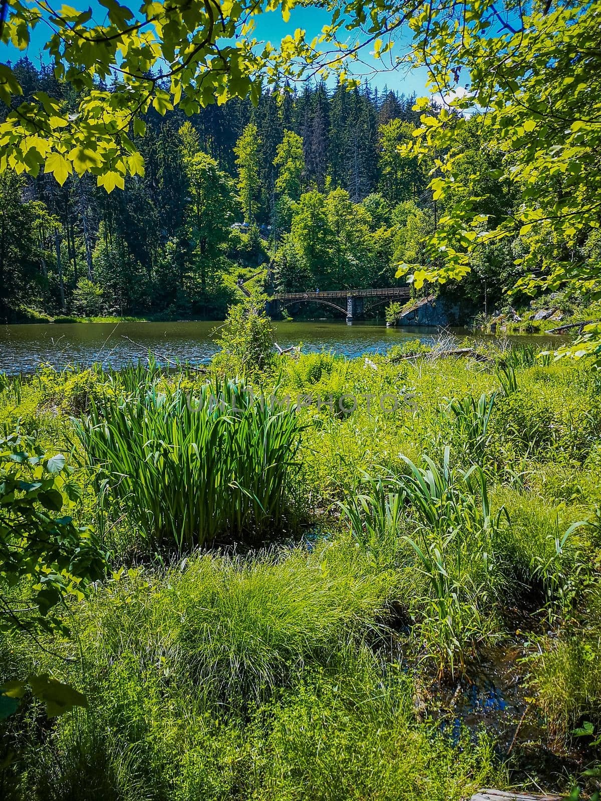 Long steel hanging footbridge over Modre lake by Wierzchu