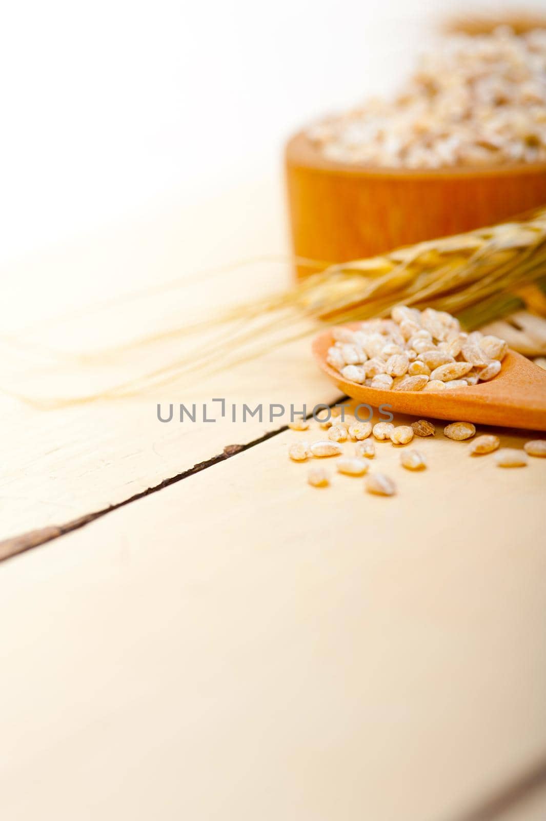 organic barley grains over rustic wood table macro closeup