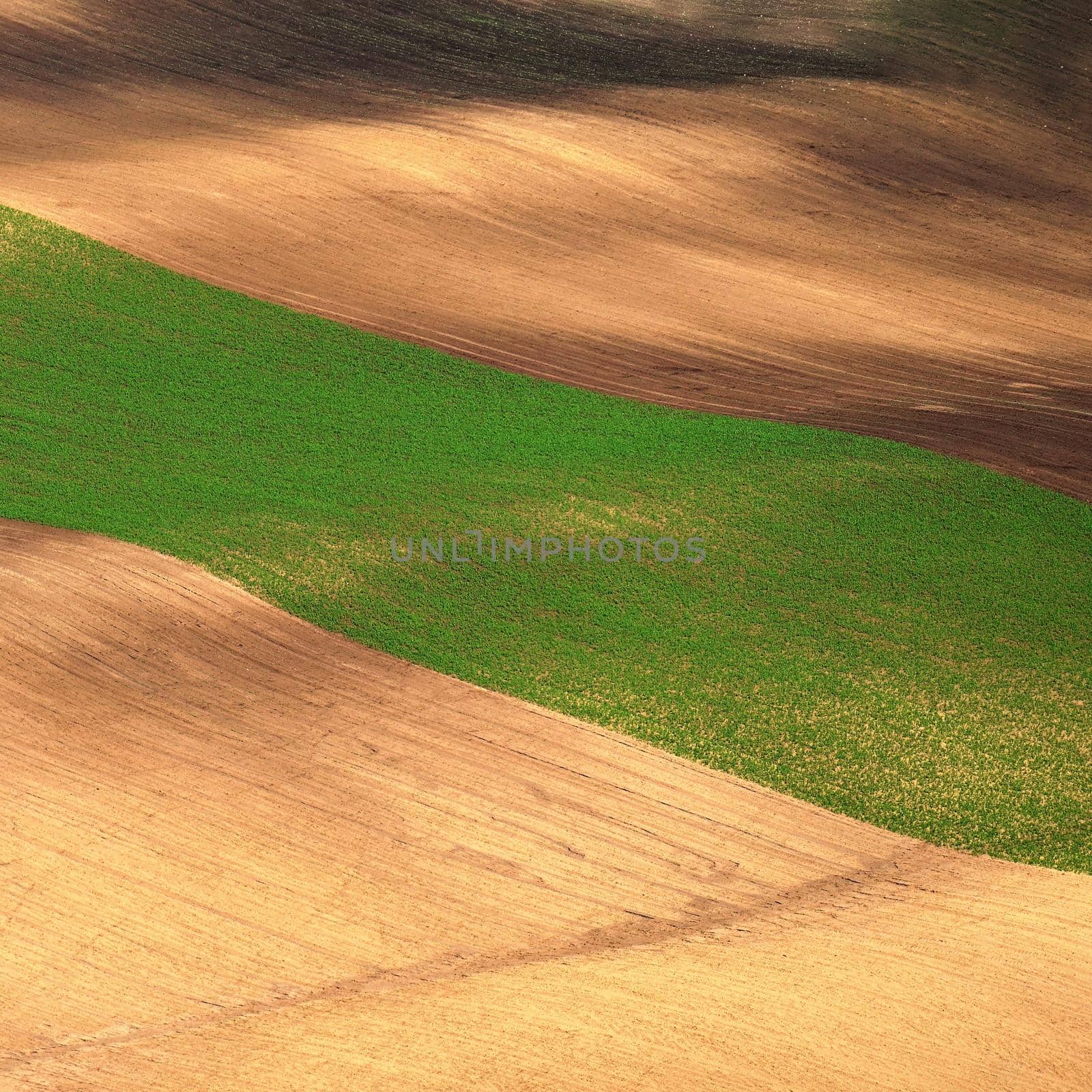 Beautiful landscape with spring nature. Waves on the field. South Moravia - Moravian Tuscany - Czech Republic Europe.. by Montypeter