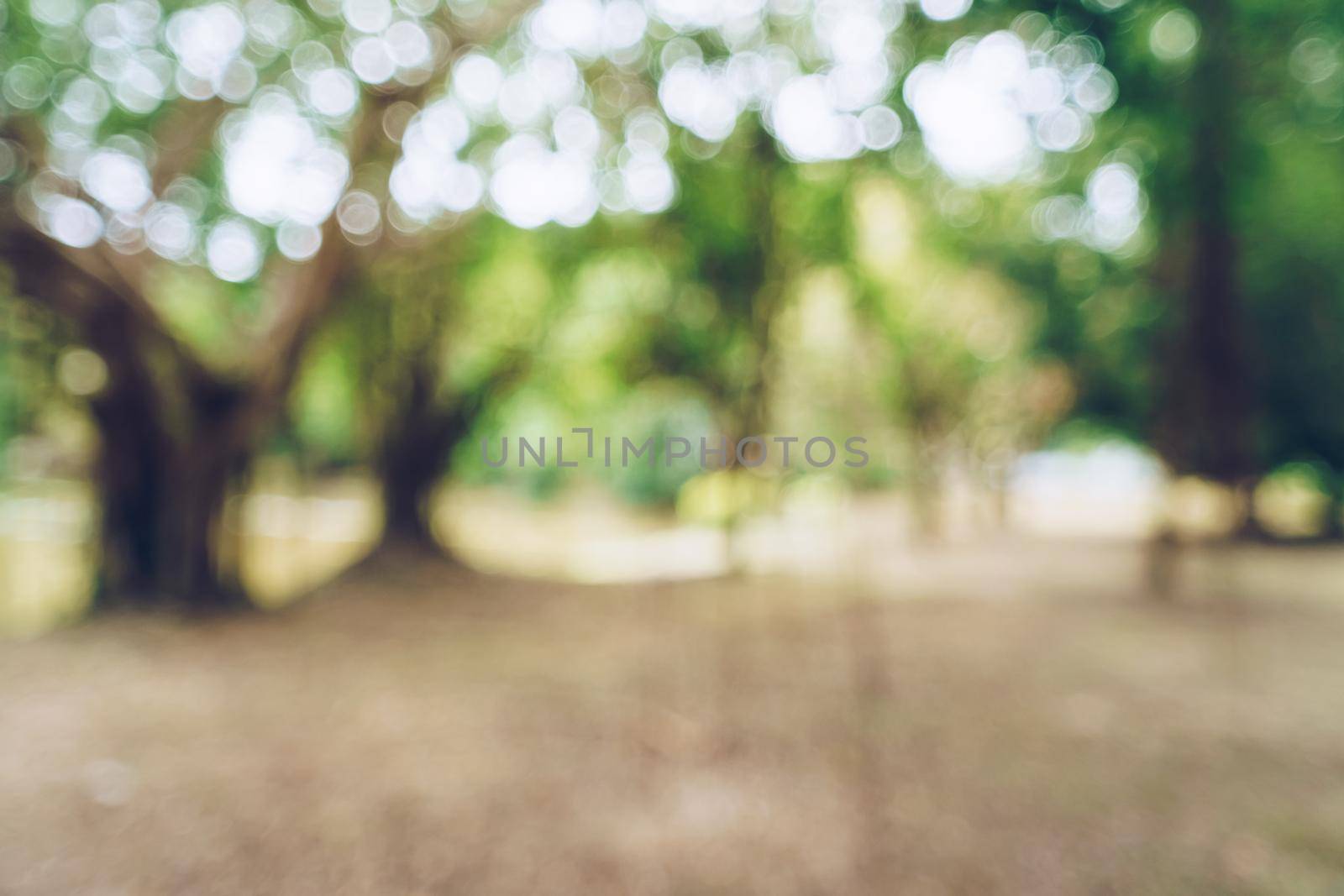 Green toned blurred nature bokeh public park with several trees backgound.