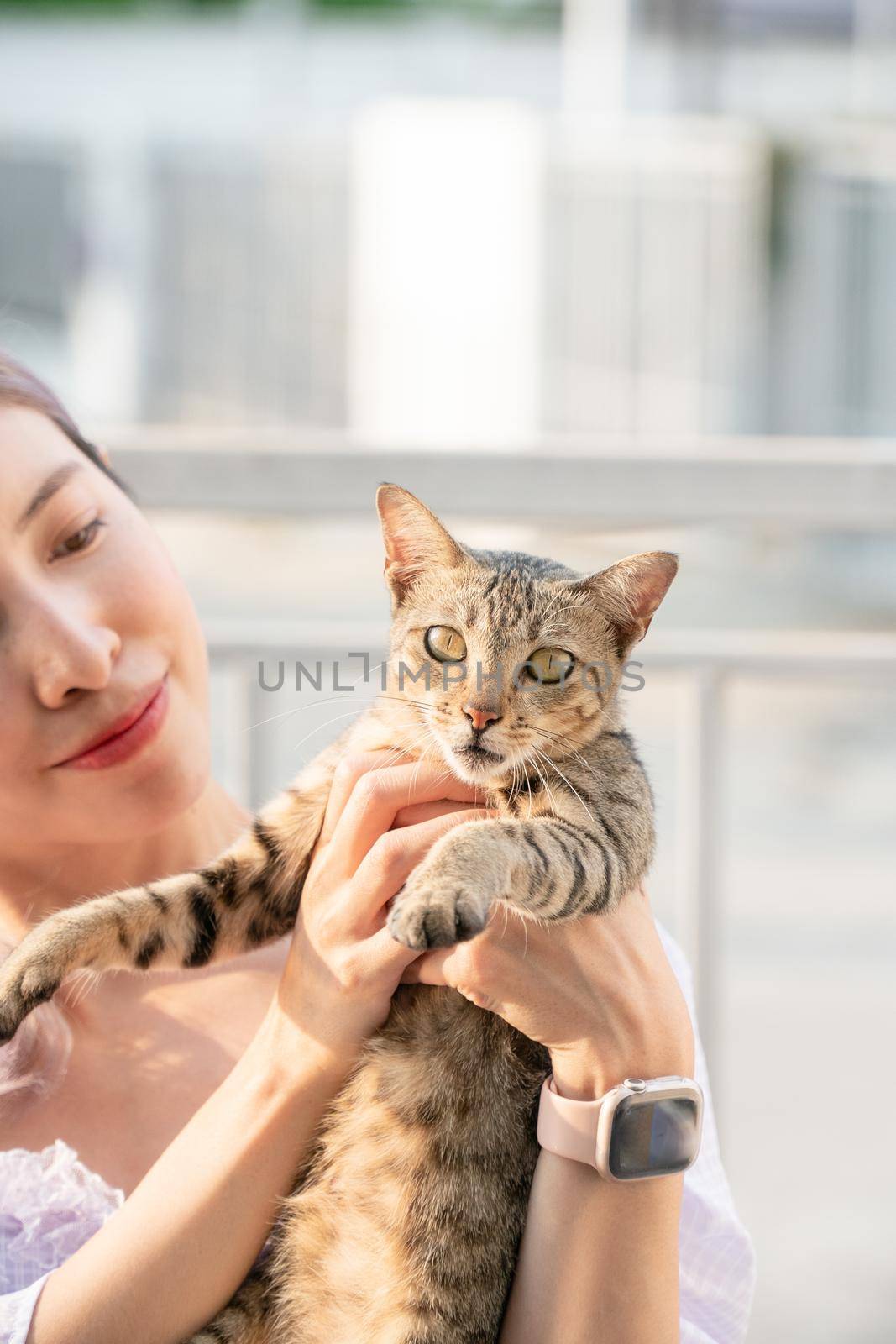 Smile woman holding grey cat.