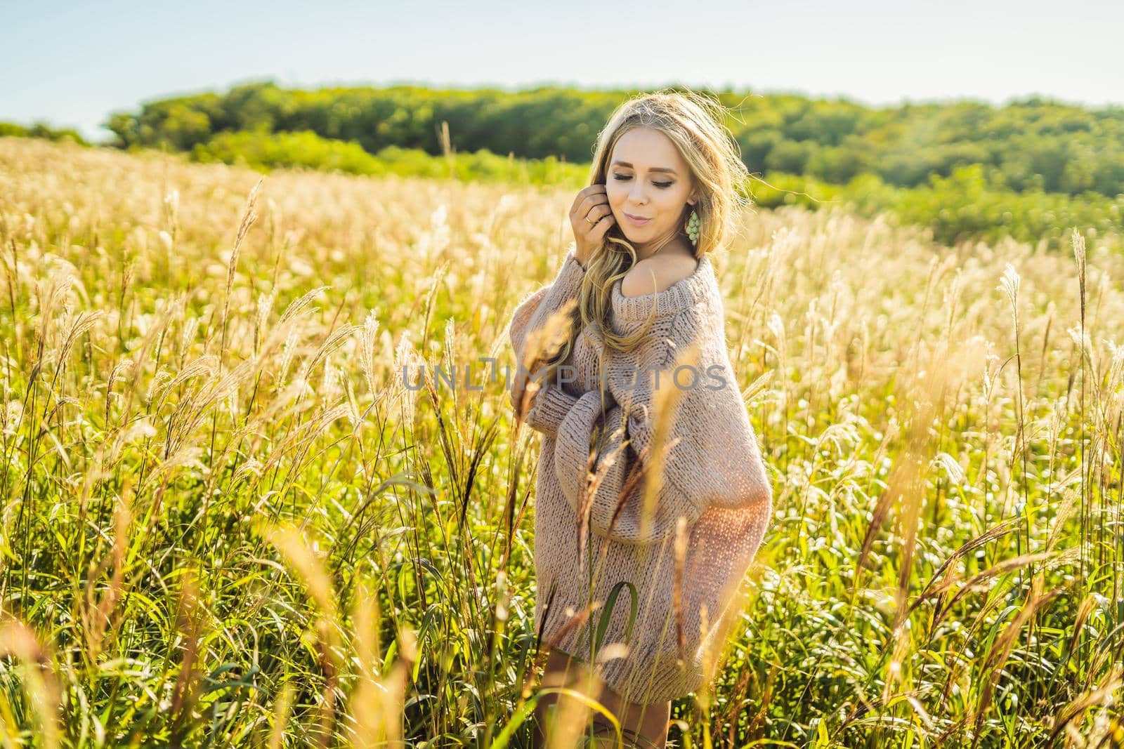 Young beautiful woman in autumn landscape with dry flowers, wheat spikes. Fashion autumn, winter. Sunny autumn, Cozy autumn sweater. fashion photo.