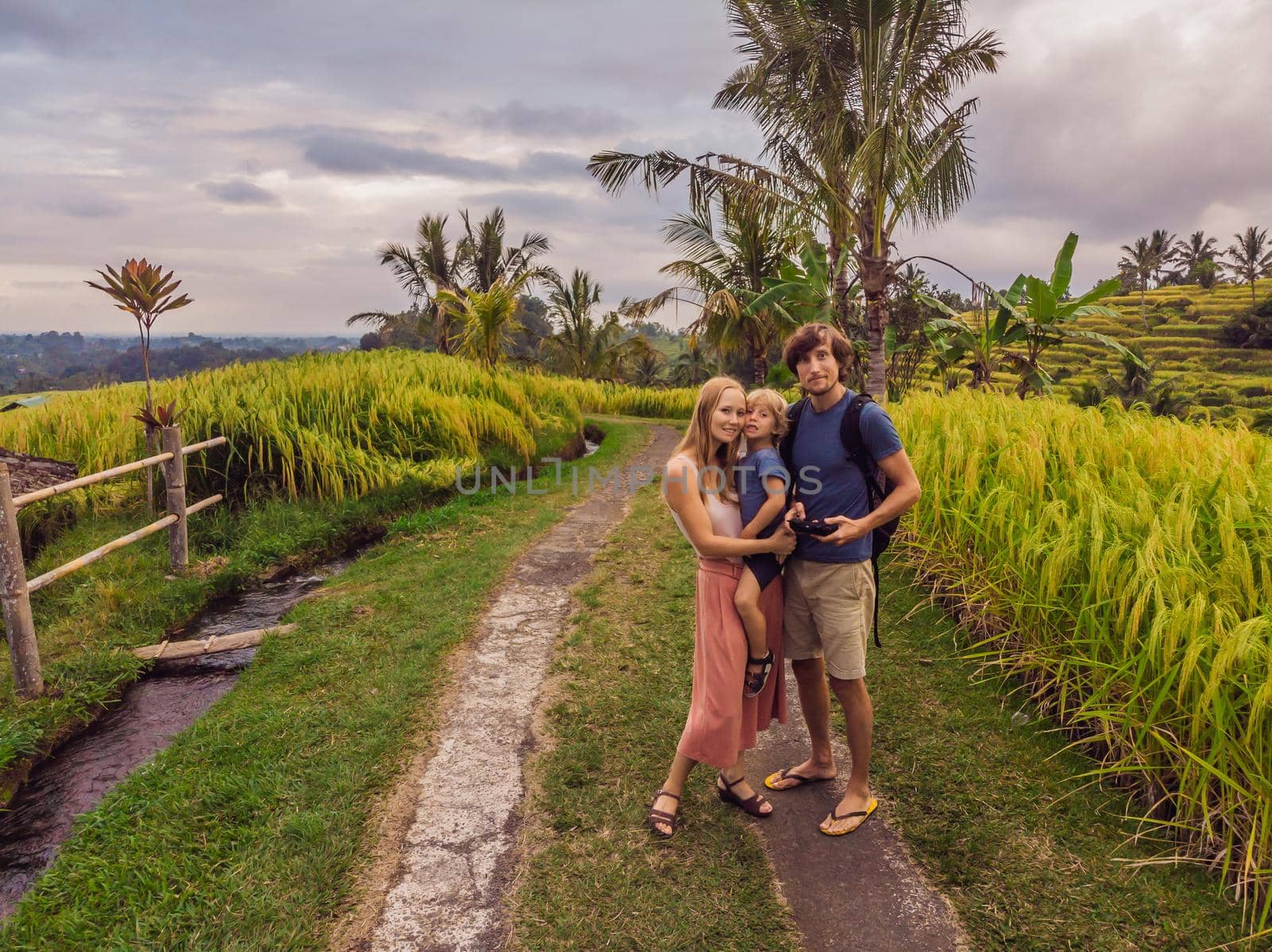 Beautiful view of Balinese traditional fields. Nature walk in green rice terrace. Happy mother and father hold happy little baby traveler. Travel adventure with child, family summer vacation in Bali, Indonesia by galitskaya