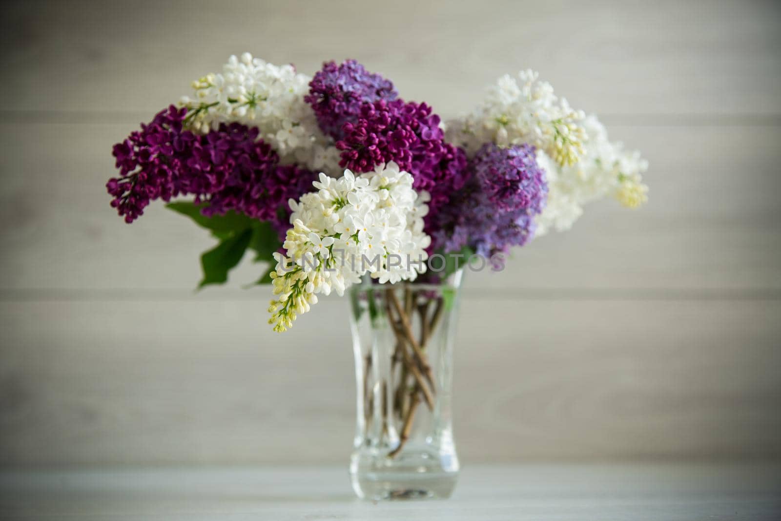 Bouquet of beautiful spring lilacs of different colors on a wooden table