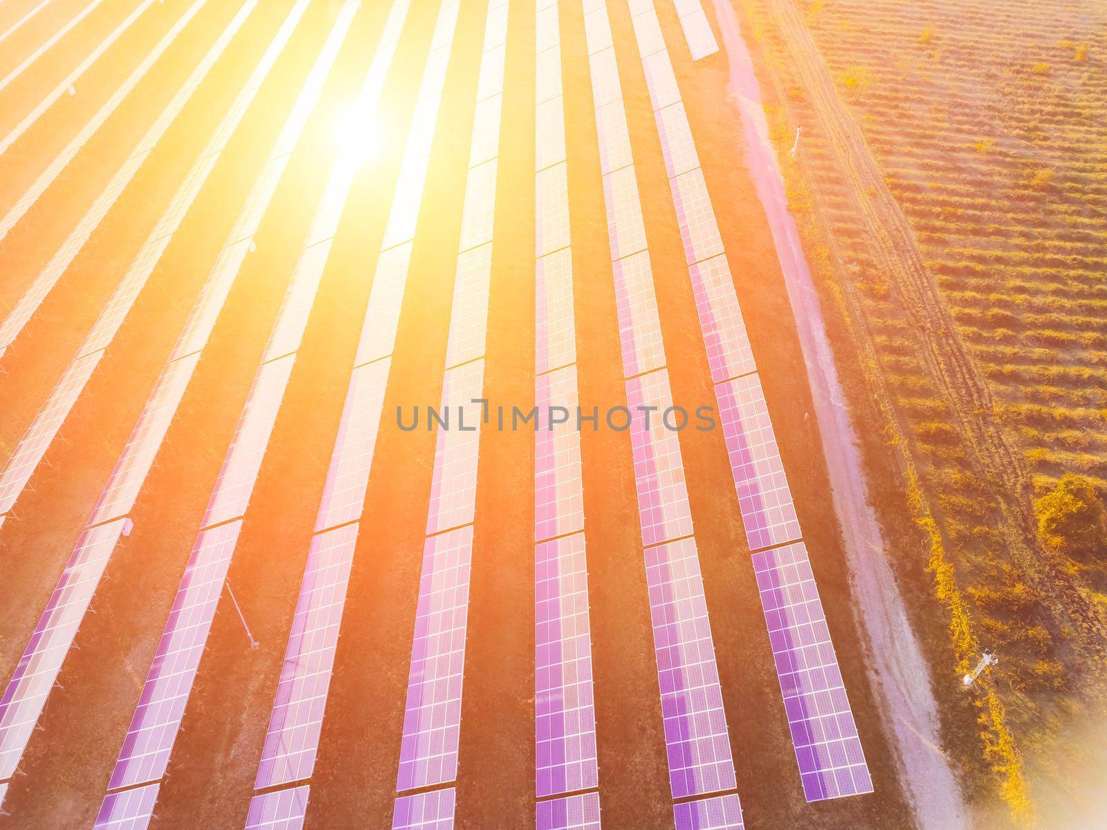 Aerial top view of a solar panels power plant. Photovoltaic solar panels at sunrise and sunset in countryside from above. Modern technology, climate care, earth saving, renewable energy concept