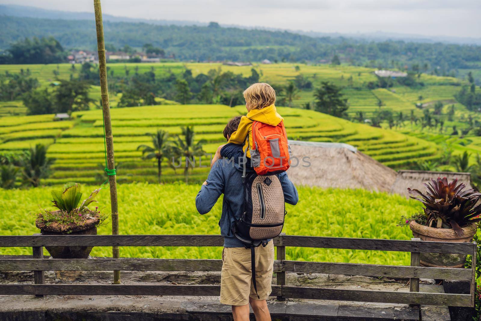 Dad and son travelers on Beautiful Jatiluwih Rice Terraces against the background of famous volcanoes in Bali, Indonesia. Traveling with children concept.