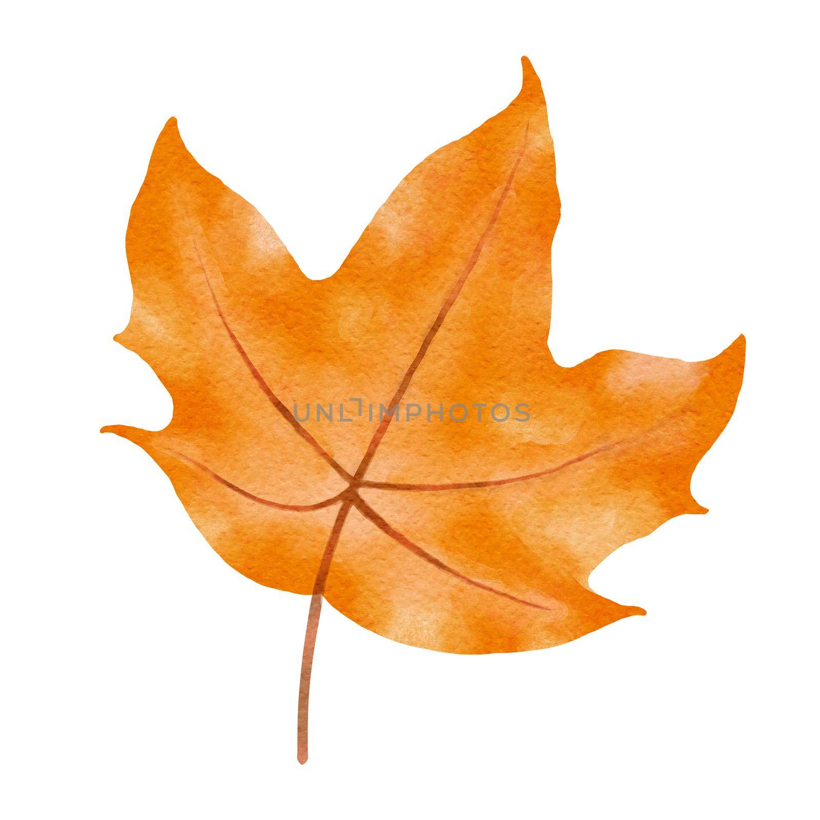 autumn maple leaves watercolor style.