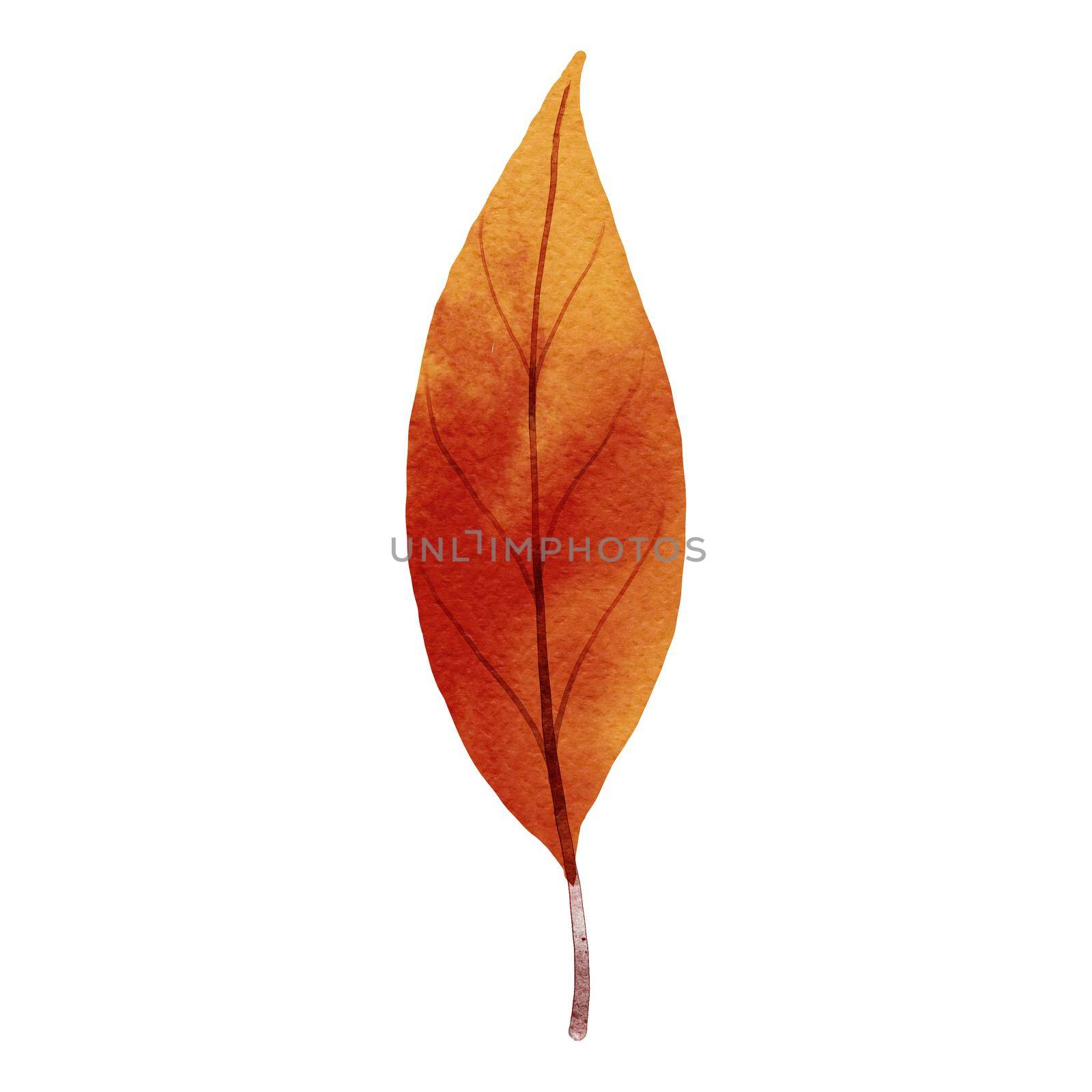 autumn leaves watercolor style. by kaisorn