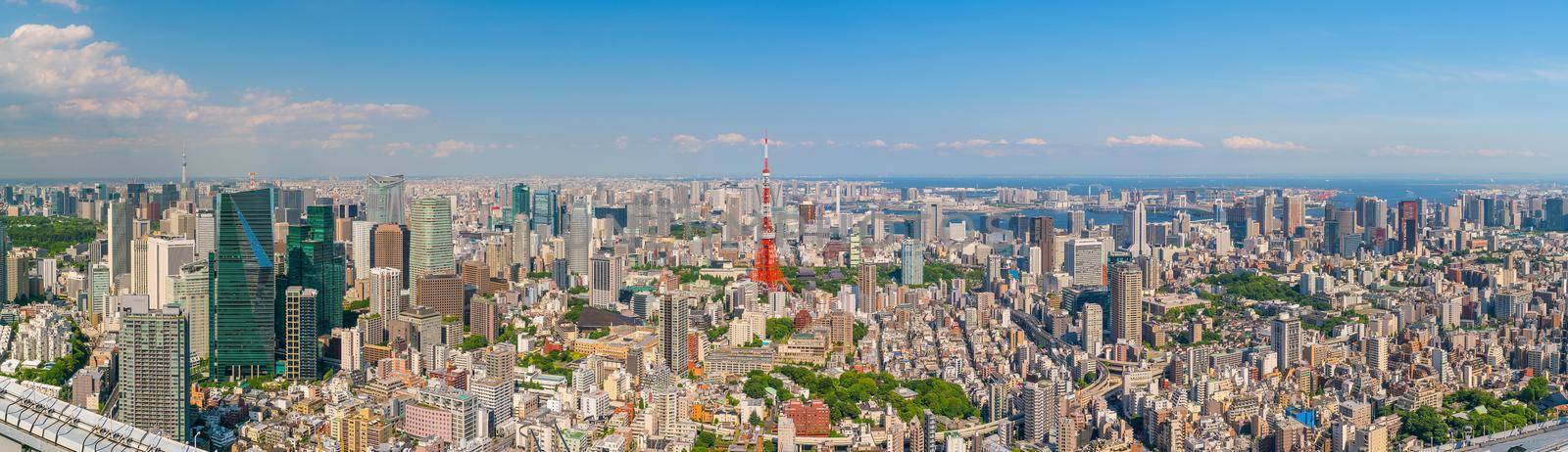 Tokyo skyline  with Tokyo Tower by f11photo