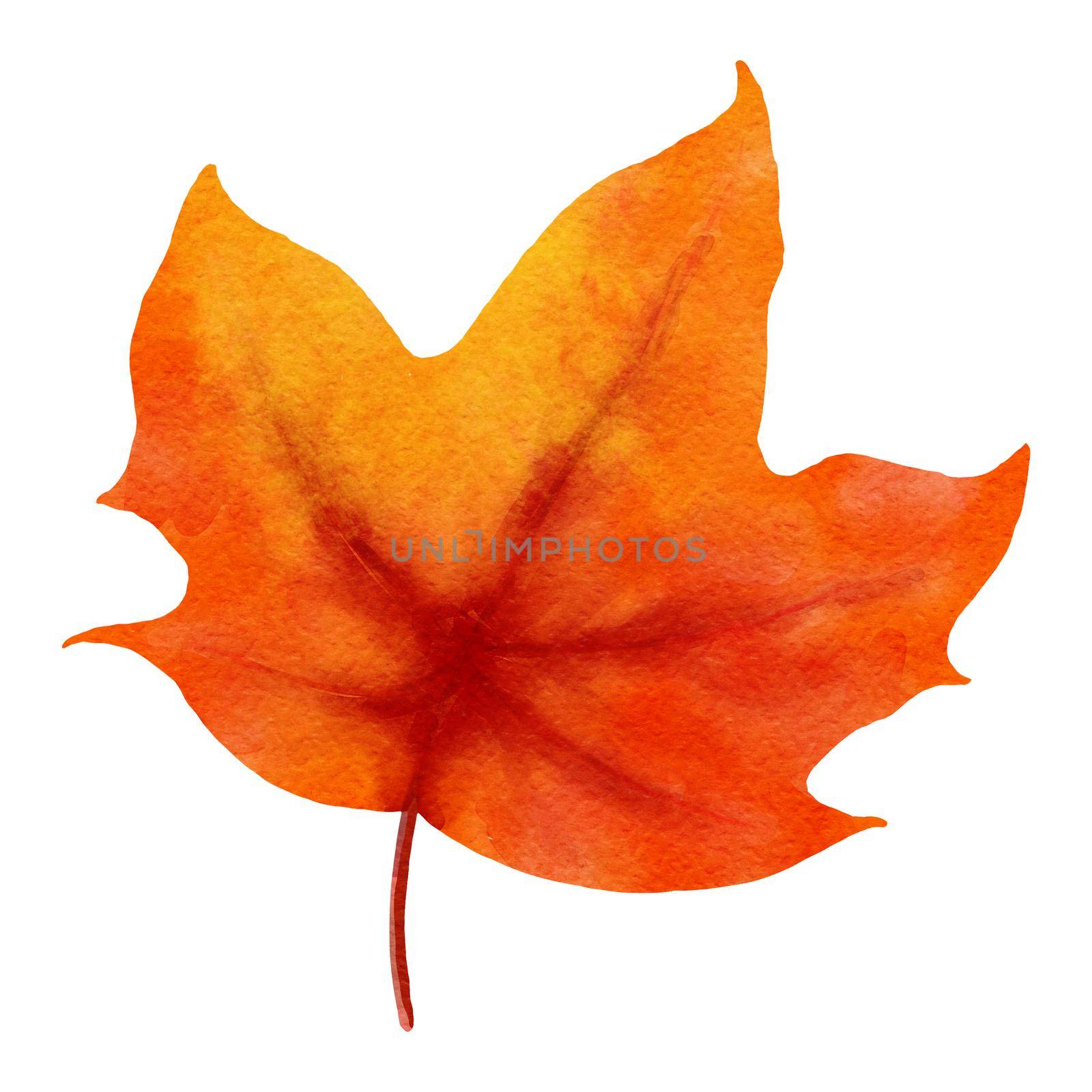 autumn maple leaves watercolor style. by kaisorn