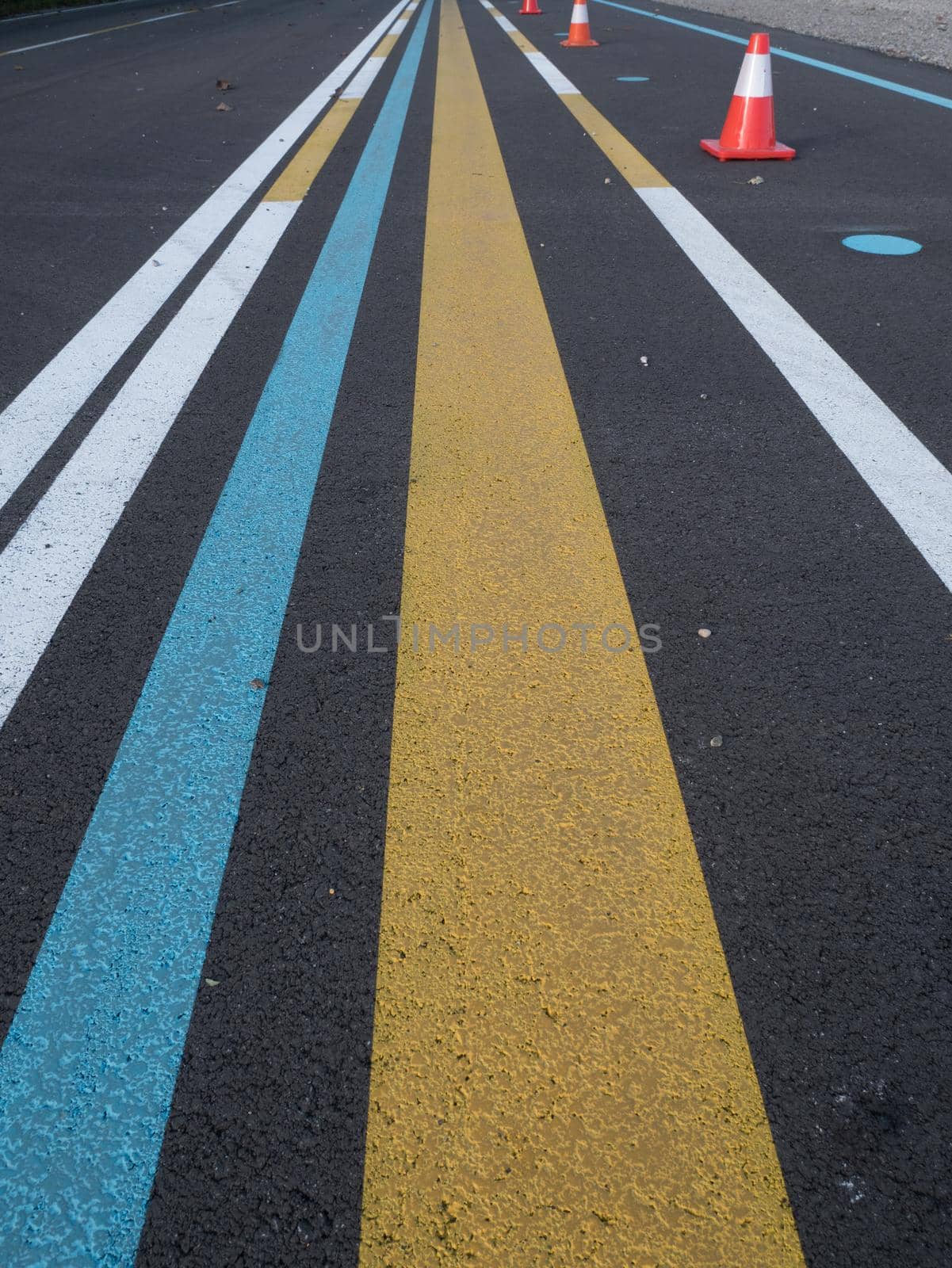 Various lines painted on asphalt by zebra