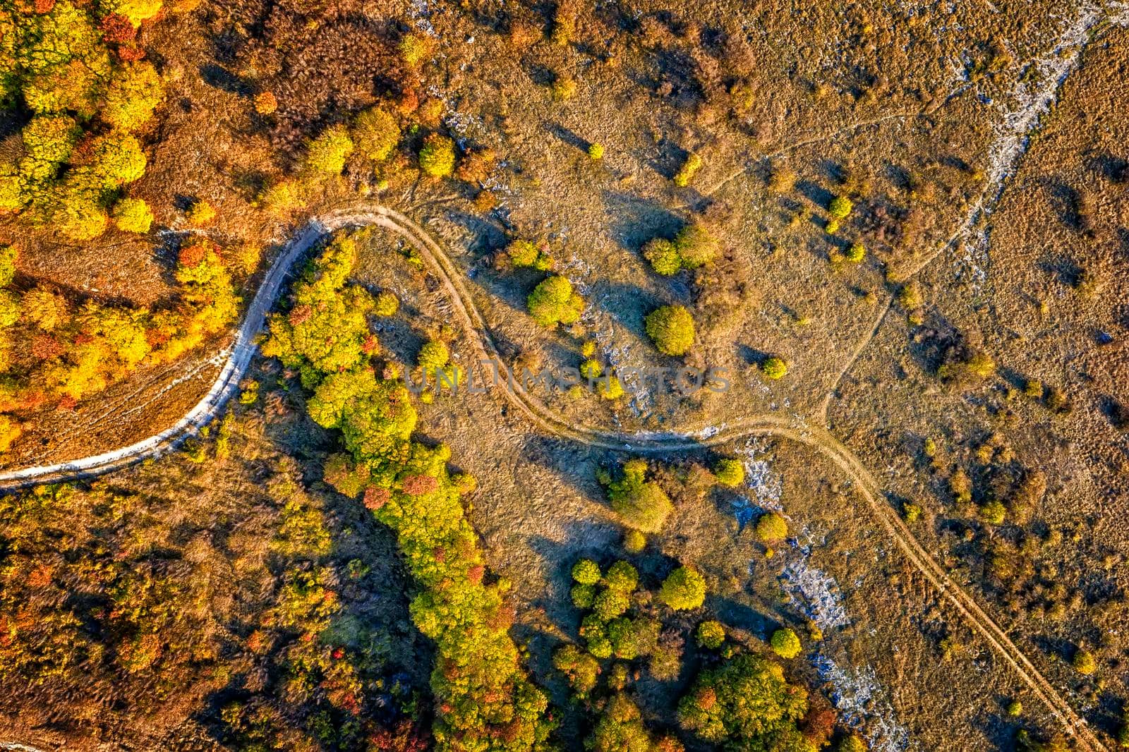 aerial top view from drone of park autumn landscape with trees, colorful lawn, and walking path