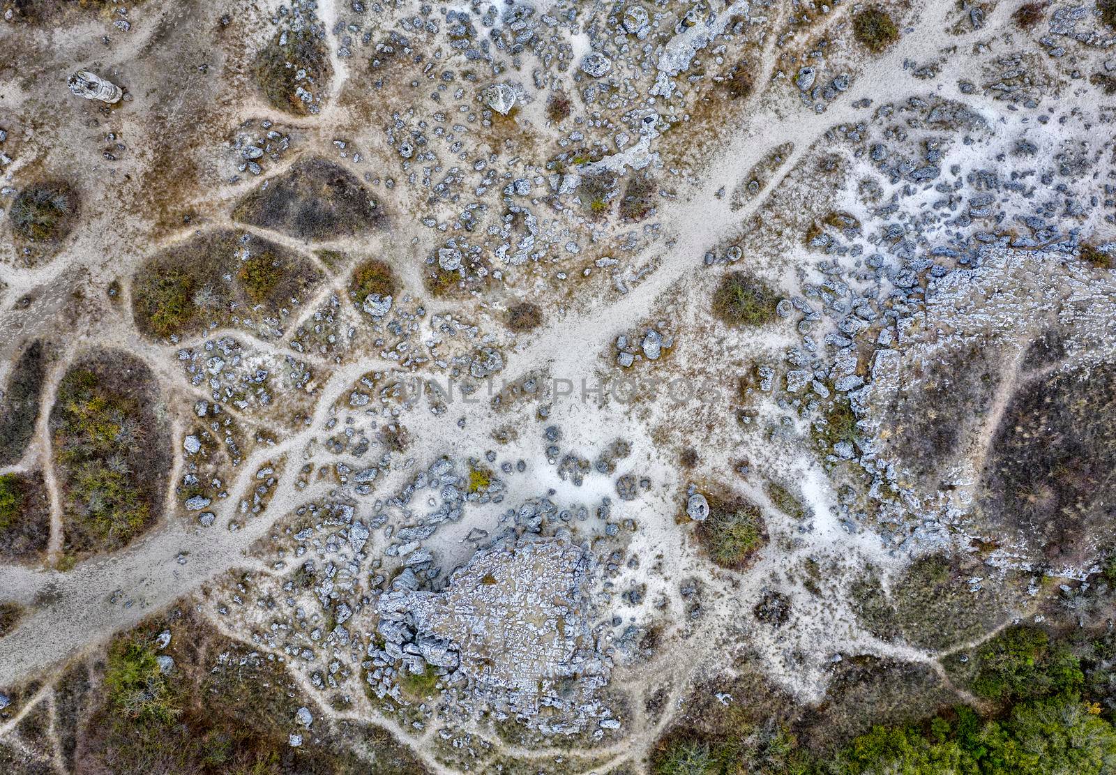 Aerial top view of Stone Forest near Varna, Bulgaria, Pobiti kamani, rock phenomenon