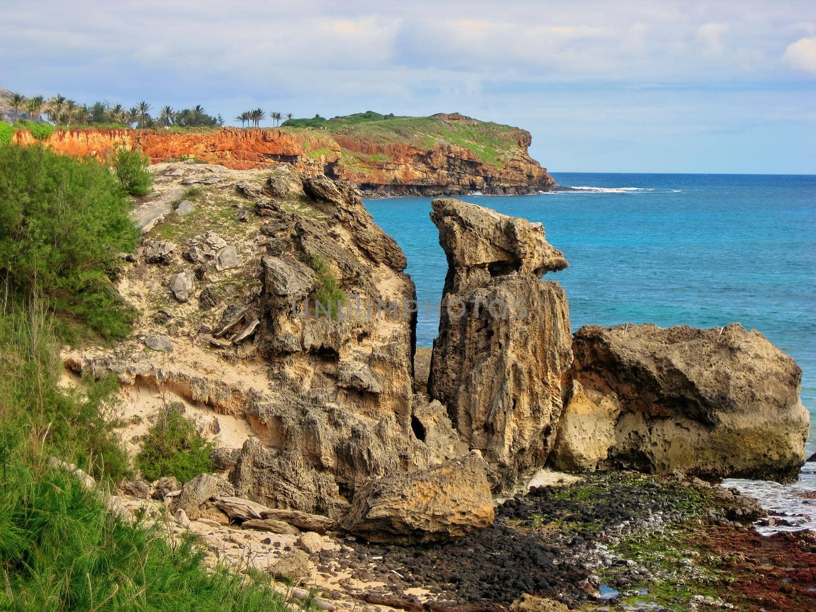 Cliff and Ocean Views along Maha'ulepu Heritage Trail between Shipwrecks Beach and Punahoa Point by markvandam