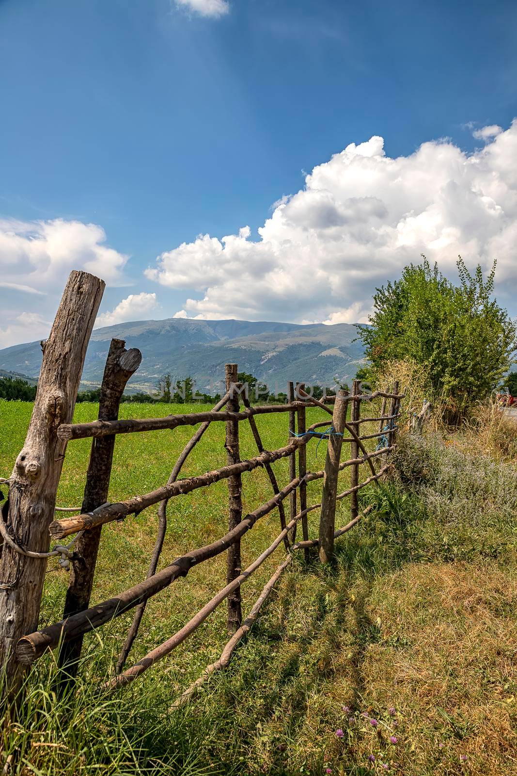 A handmade wooden fence made of thin rods. The old fence of tree trunks, rural landscape, nature wallpaper background. by EdVal