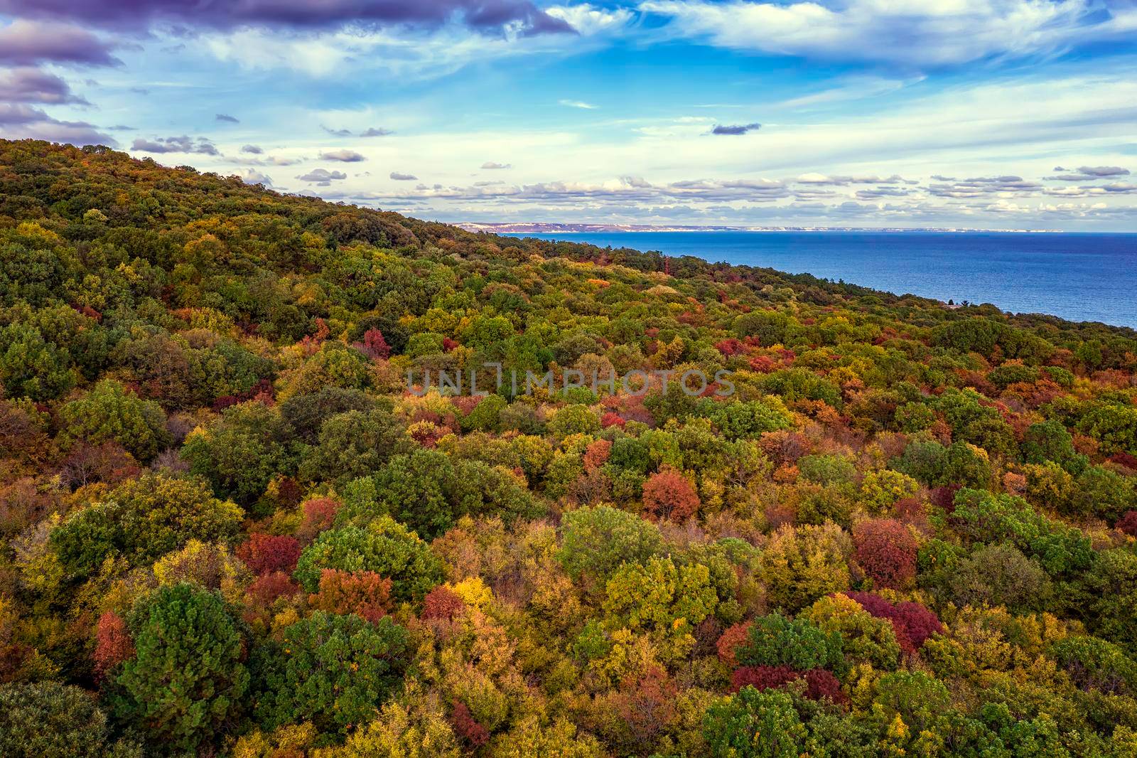 Aerial view from drone of colorful autumn forest and sea