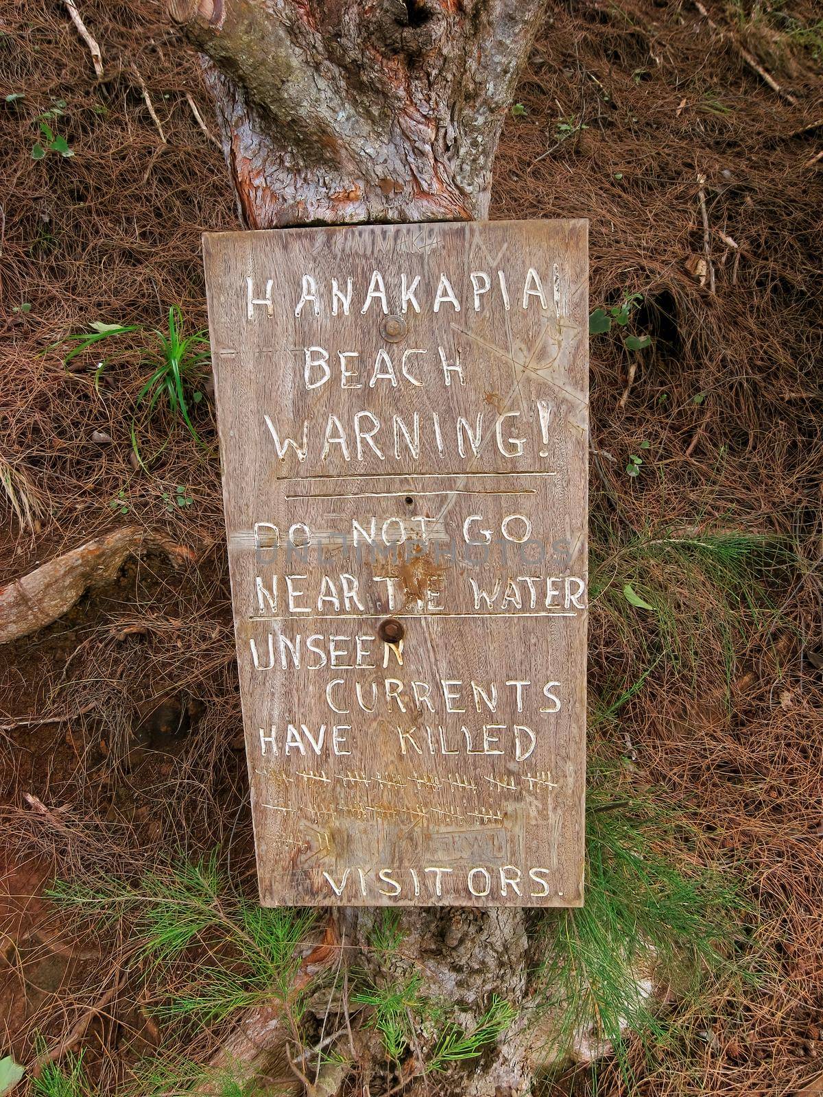 Hanakapiai Beach Wooden Sign Warning Sign Stating Do Not Go Near the Water Unseen Currents Have Killed a Large Number of Visitors Hanakapi'ai