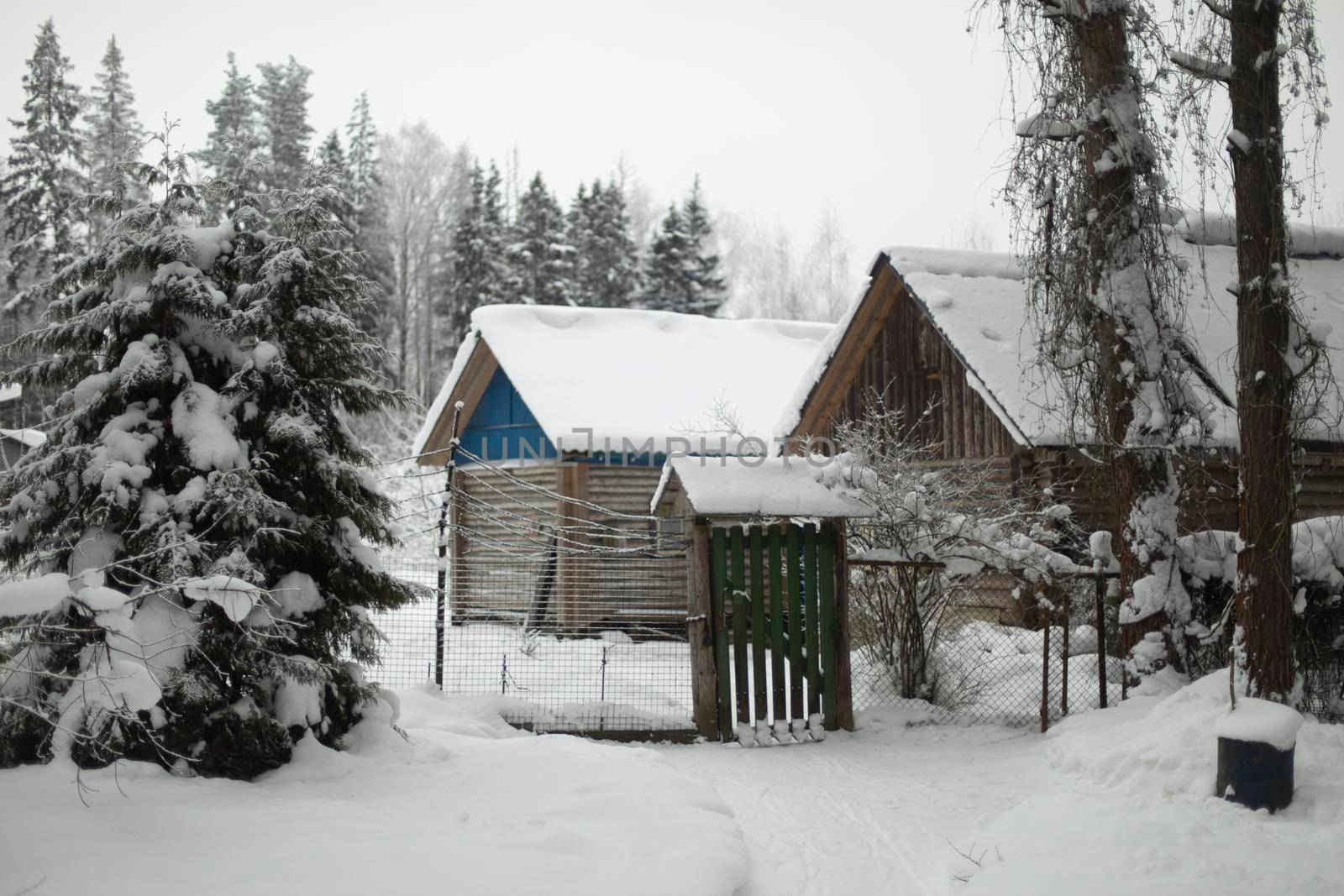 Country house in winter. Roof is in snow. Countryside. Snowy winter in Russia.