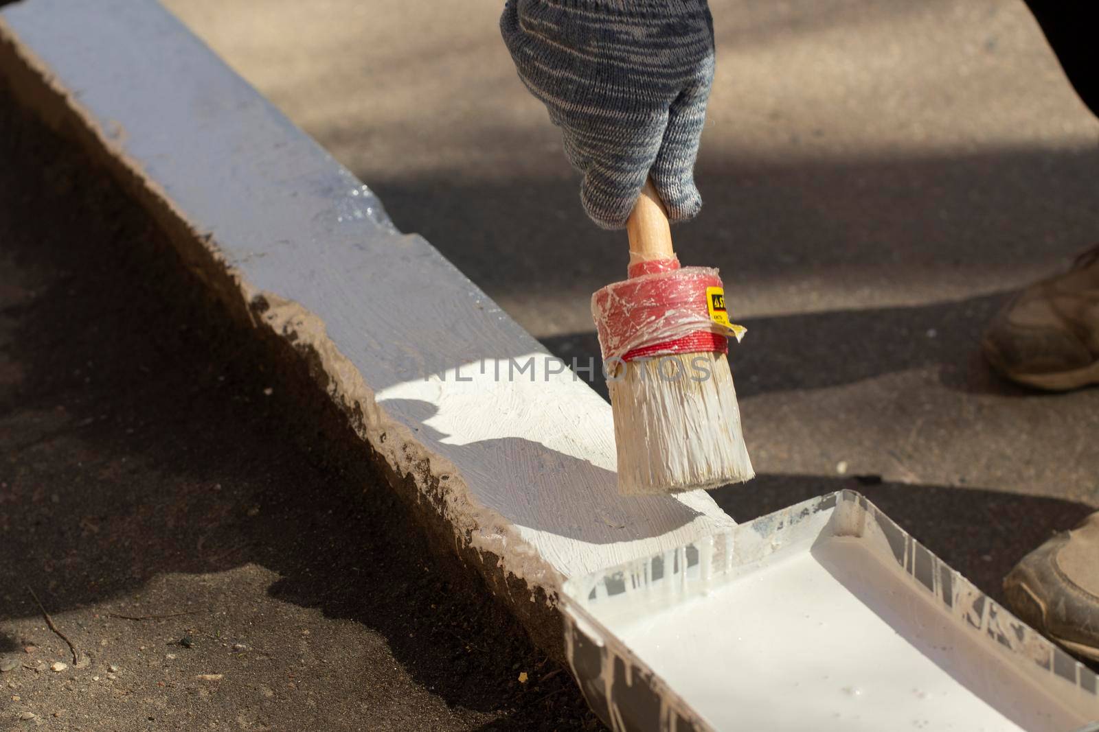 Paints the kerb with white paint. Brush with paint for the road curb. Painting the road. The man in the glove paints.