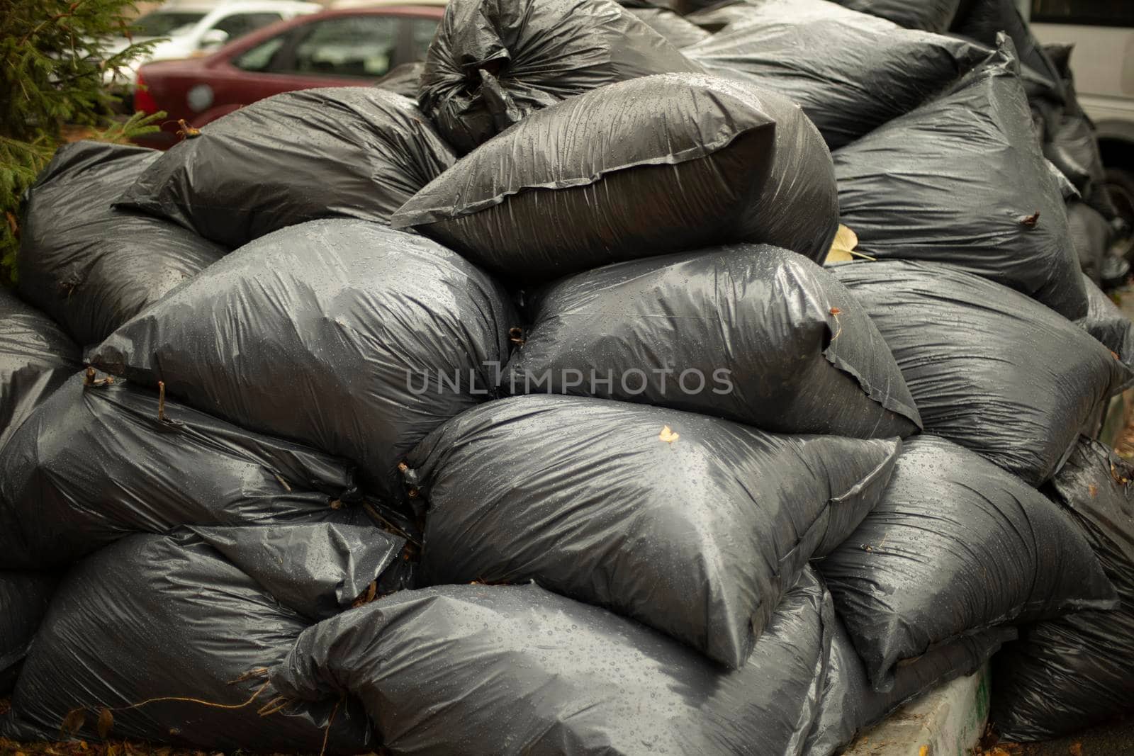 Garbage bags. Black waste bags. Garbage dump. Leaf harvesting.