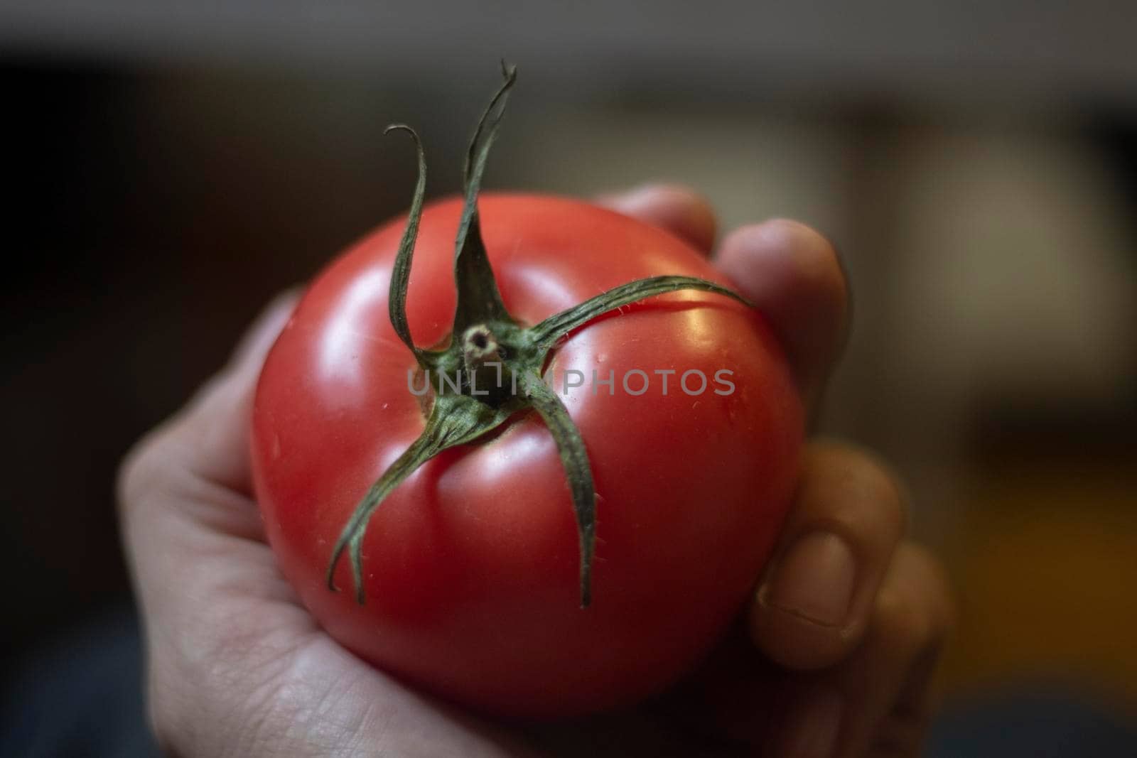 Tomato in hand. Fresh vegetable. Breakfast is healthy food. Red vegetable in natural light.