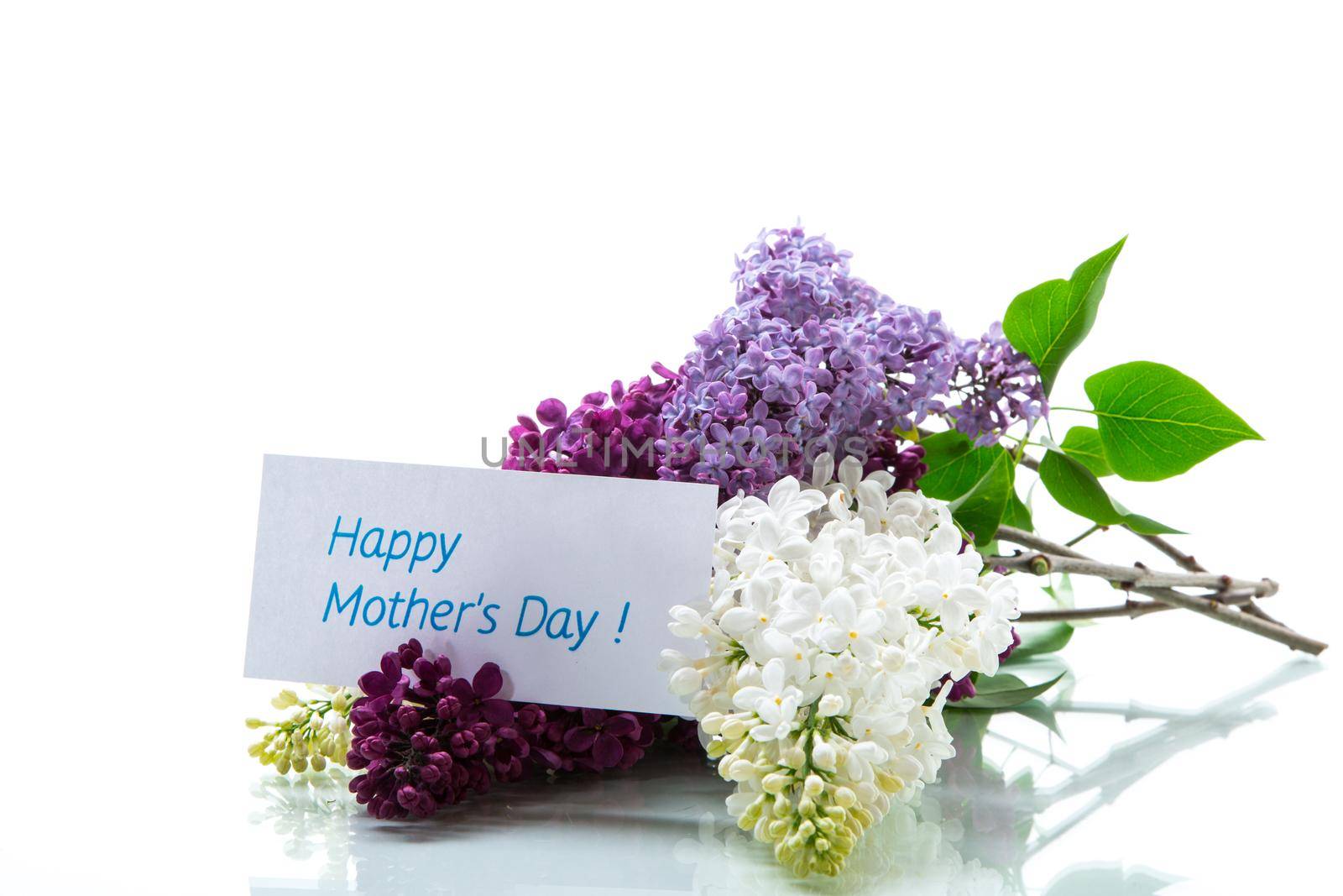 Bouquet of beautiful spring lilacs of different colors isolated on white background