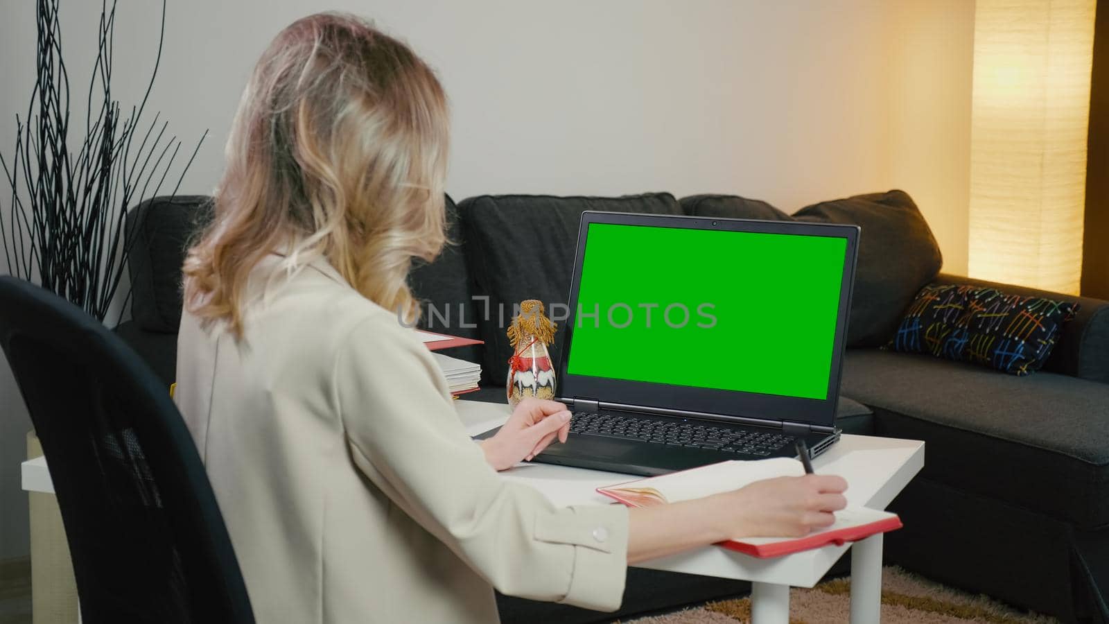 Back View of business Woman at Laptop with Green Screen for Copy Space. Chromakey Mockup. by RecCameraStock