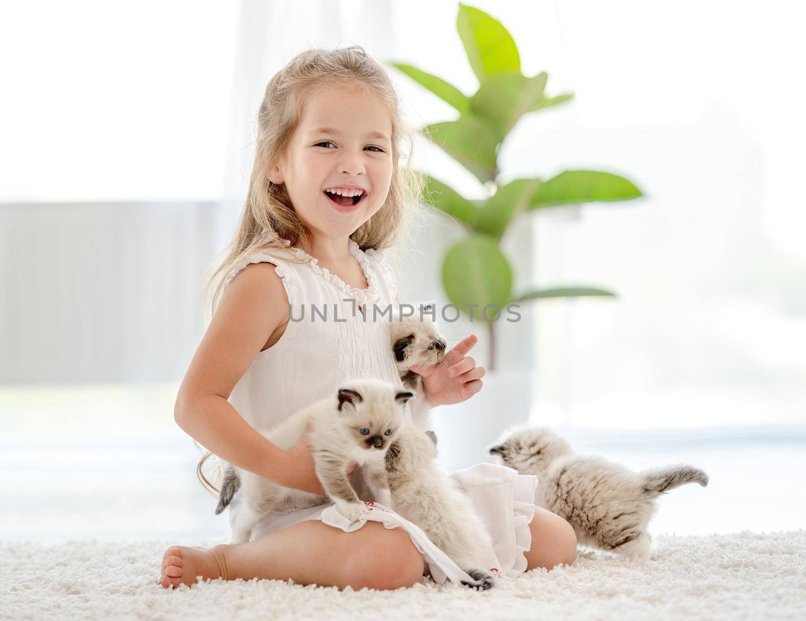 Girl with ragdoll kittens by tan4ikk1