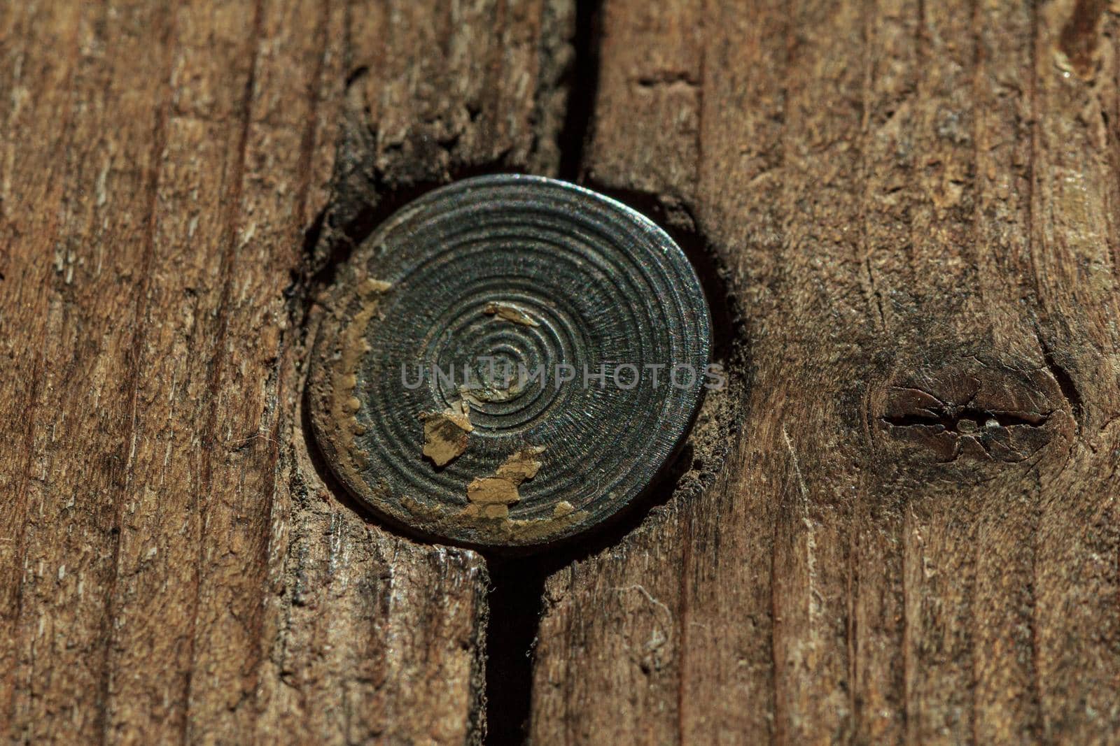 Screw texture circle close up, metal in wood