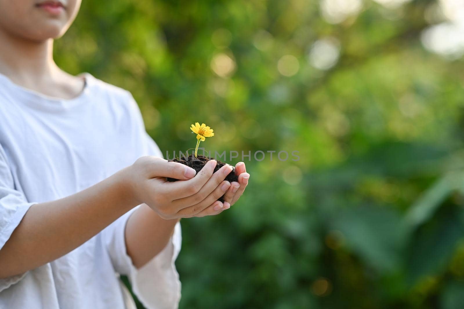 Girl hand holding young plant against sunshine and green nature background. Saving the world, earth day concept.