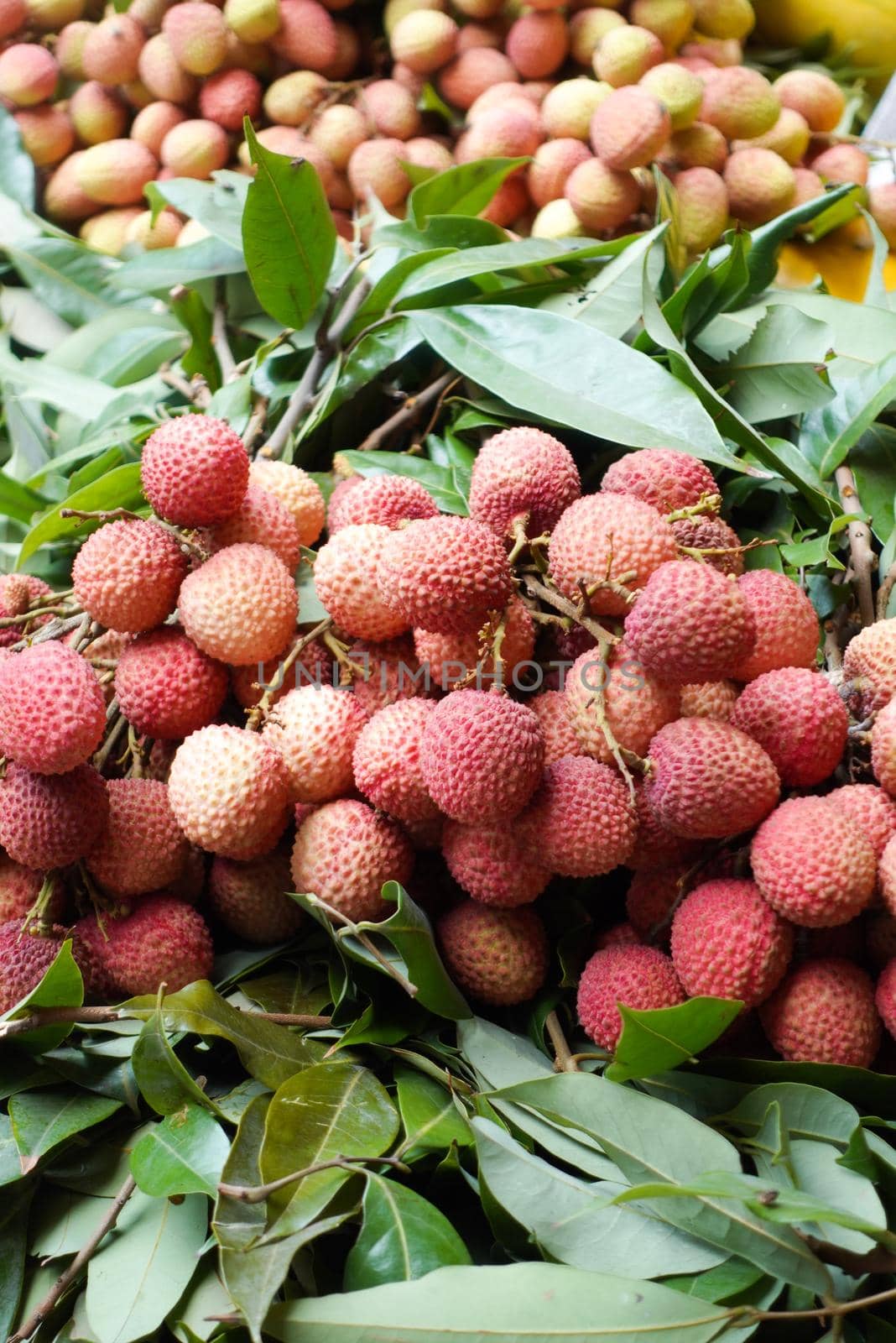 fresh Lychee display for sale at local market .