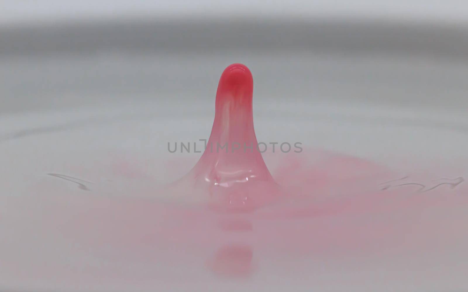 Pink Color water drop and splash by scudrinja