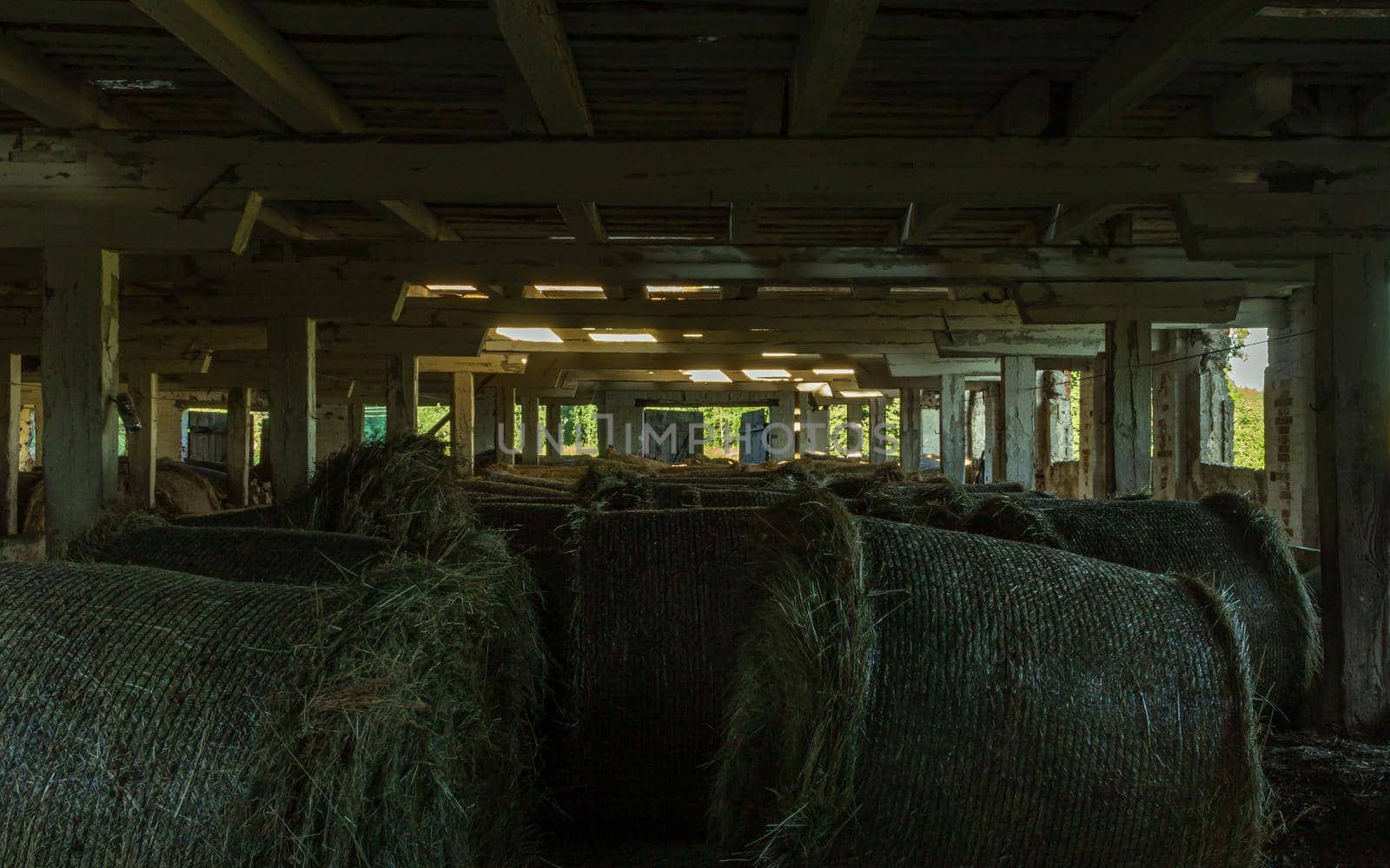 Silage food for animals, old farm room by scudrinja